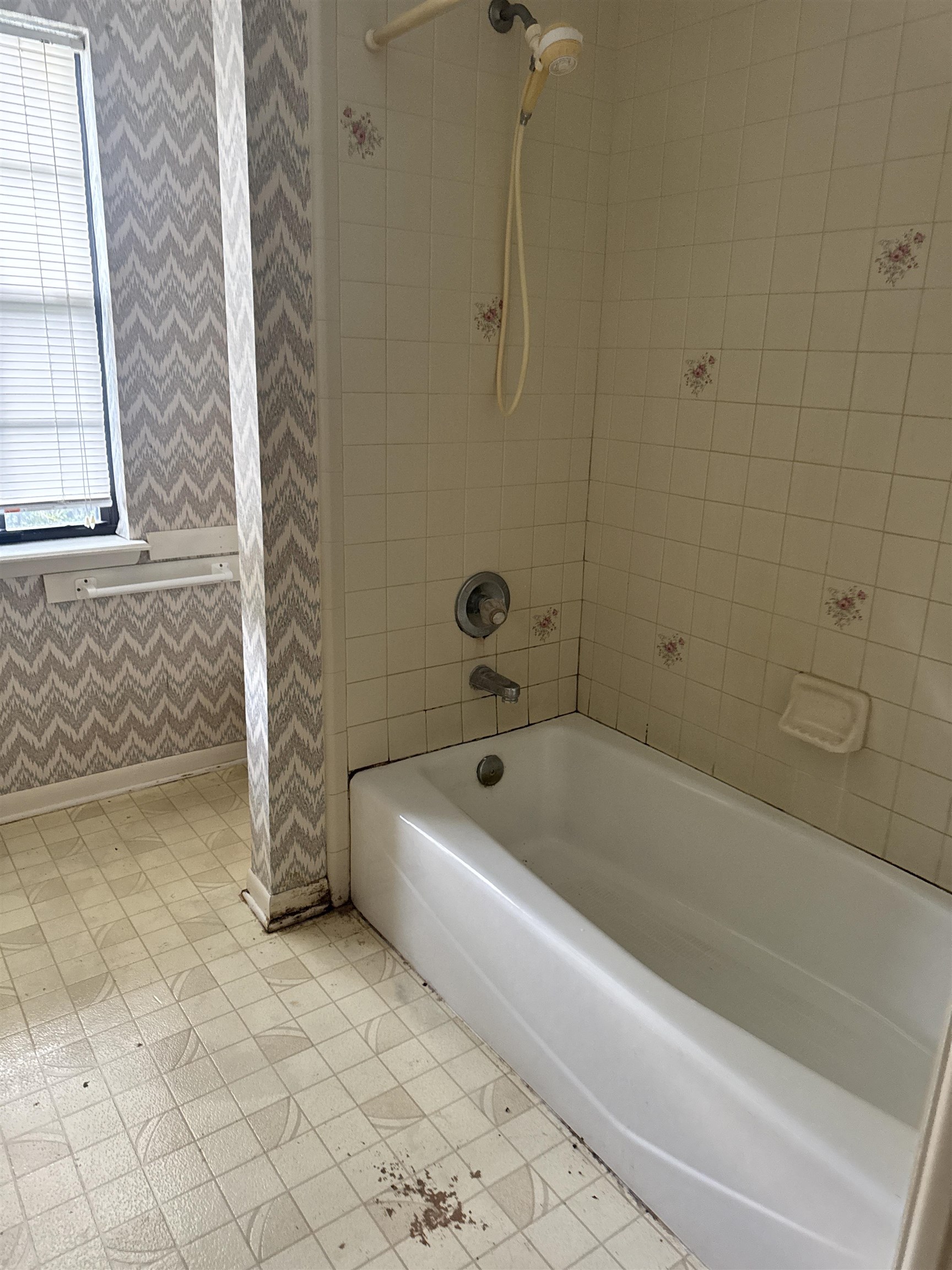 4028 Ardara Drive, Tallahassee, Texas image 10