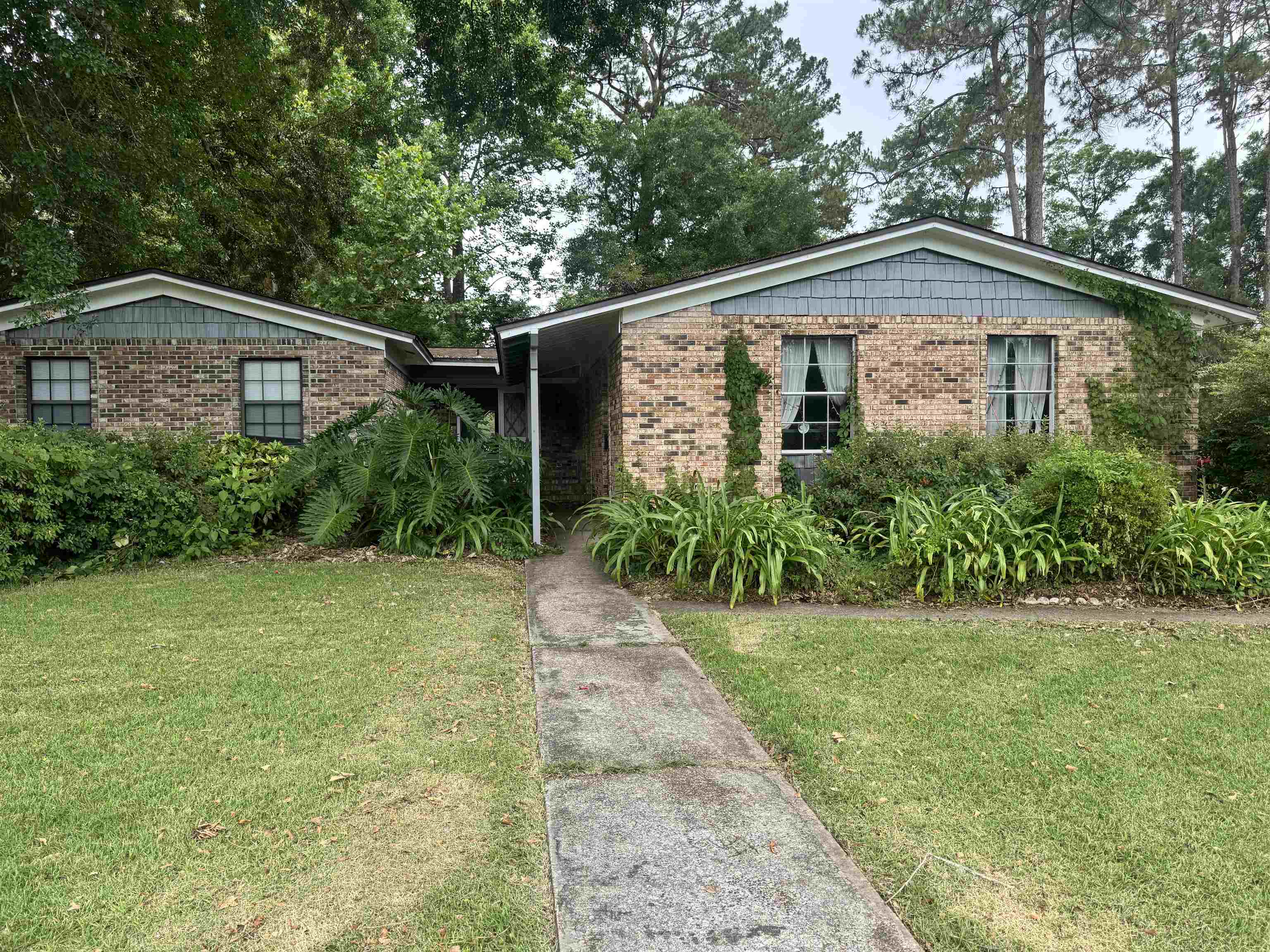 4028 Ardara Drive, Tallahassee, Texas image 4