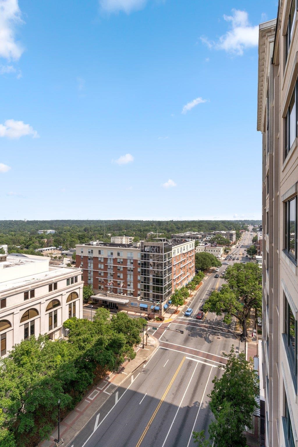 121 N Monroe Street #1103, Tallahassee, Texas image 27