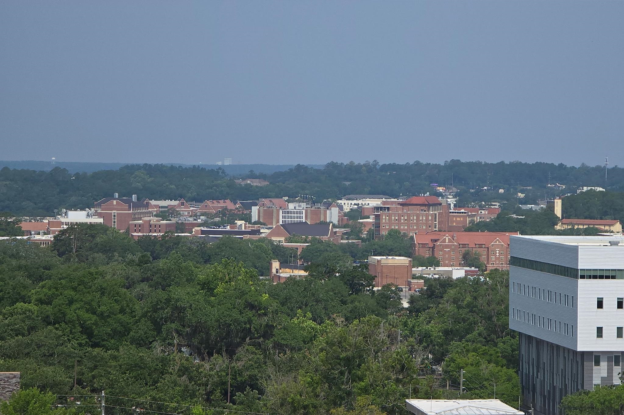 121 N Monroe Street #1103, Tallahassee, Texas image 31