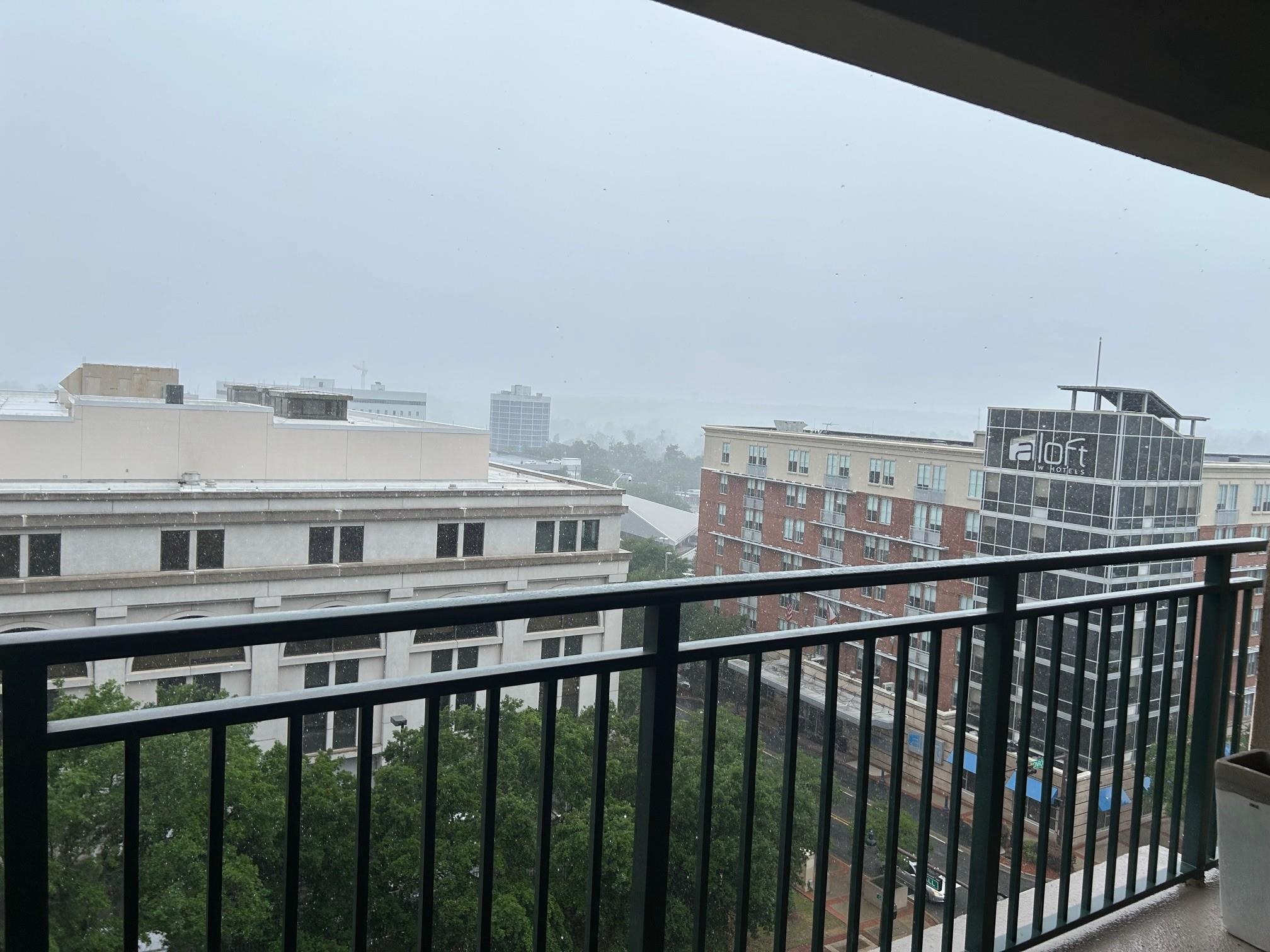 121 N Monroe Street #8007, Tallahassee, Florida image 21