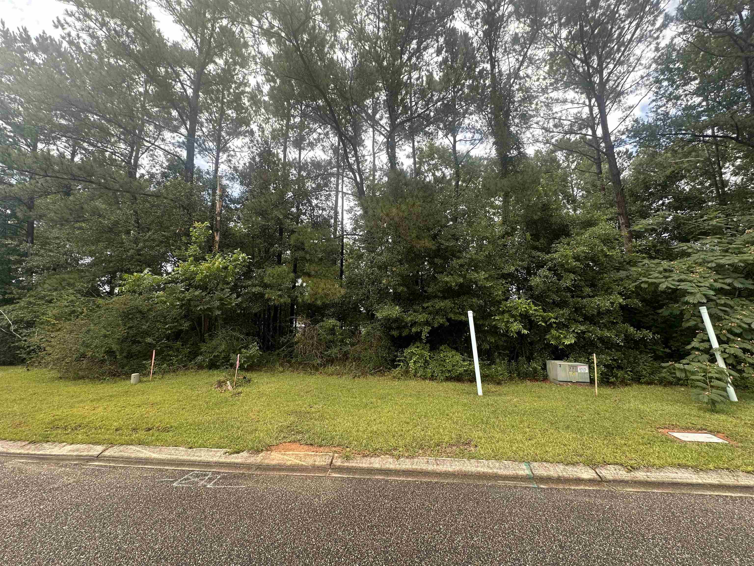 240 Tranquility Lane, Havana, Florida image 1