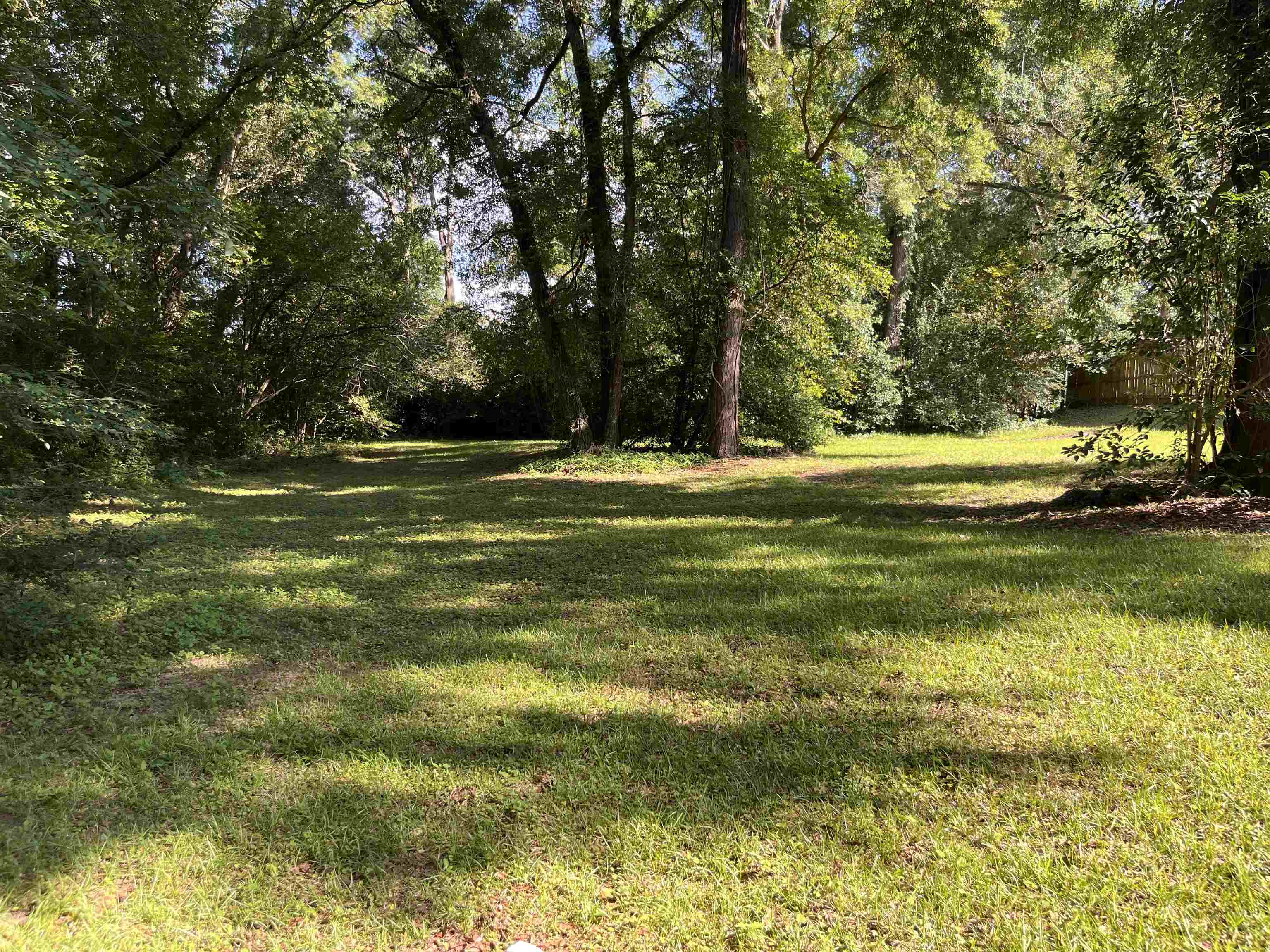 2103 Queenswood Drive, Tallahassee, Texas image 41