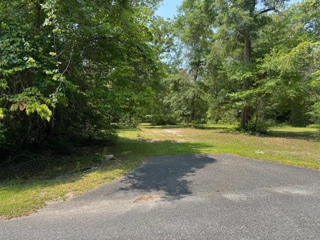 Lot 13 Strattonwood Place, Crawfordville, Florida image 2