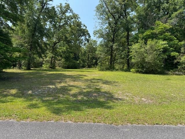 Lot 13 Strattonwood Place, Crawfordville, Florida image 3