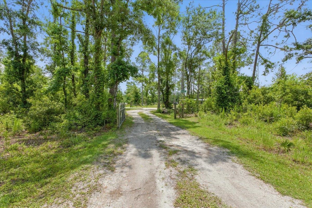 7680 Airport Grade, Perry, Florida image 35