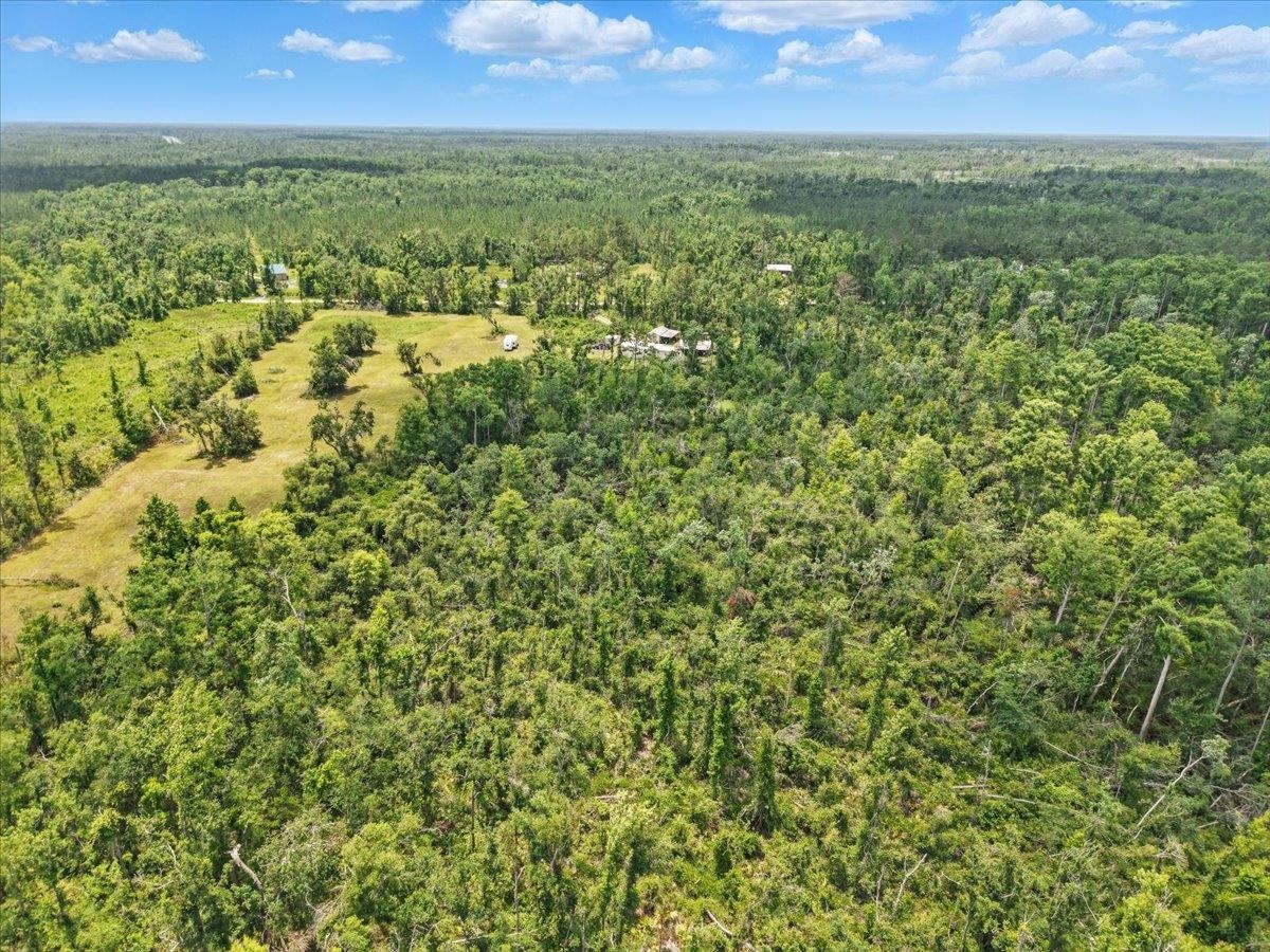 7680 Airport Grade, Perry, Florida image 40