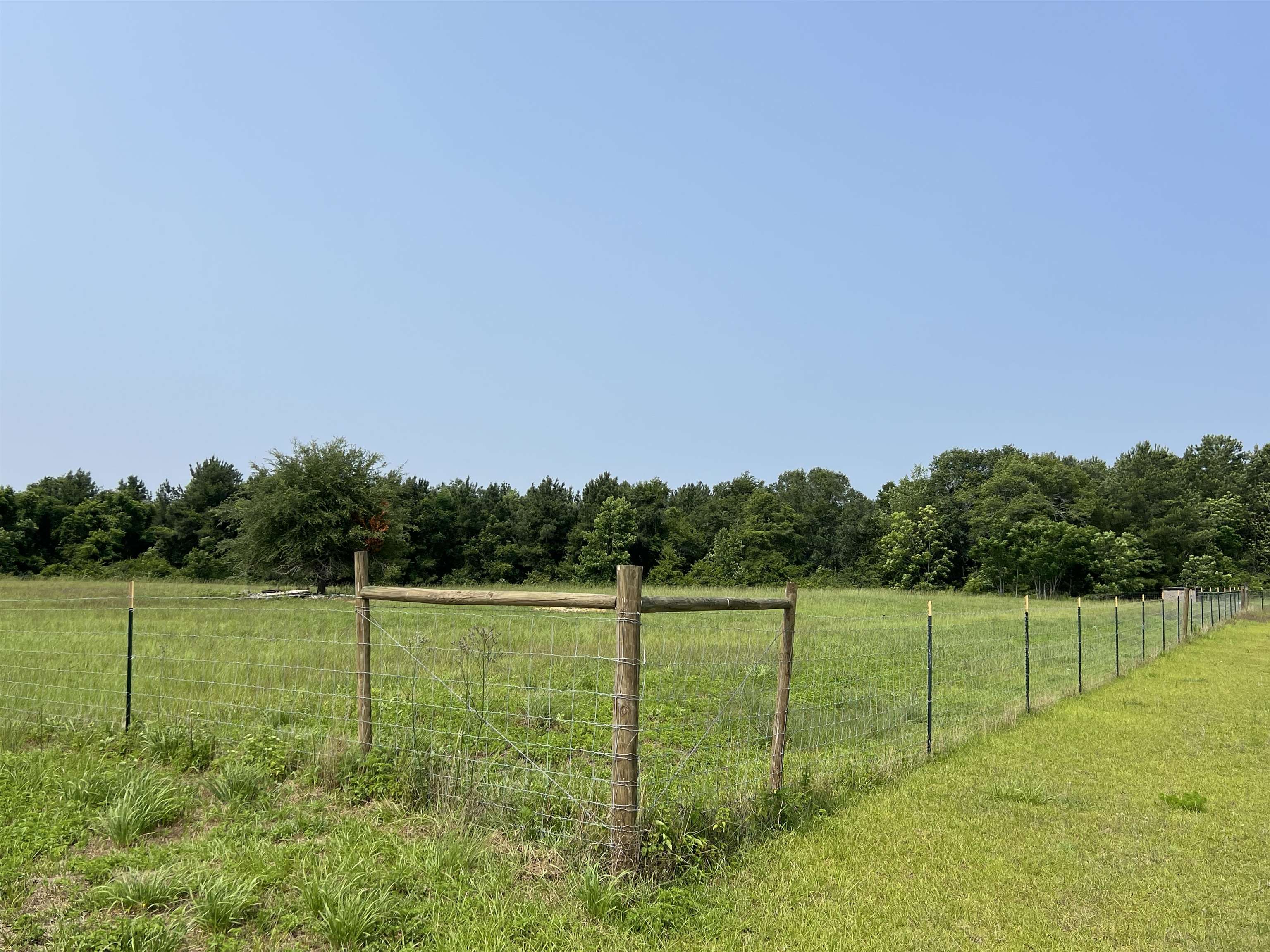 XX Glory Road, Quincy, Texas image 10