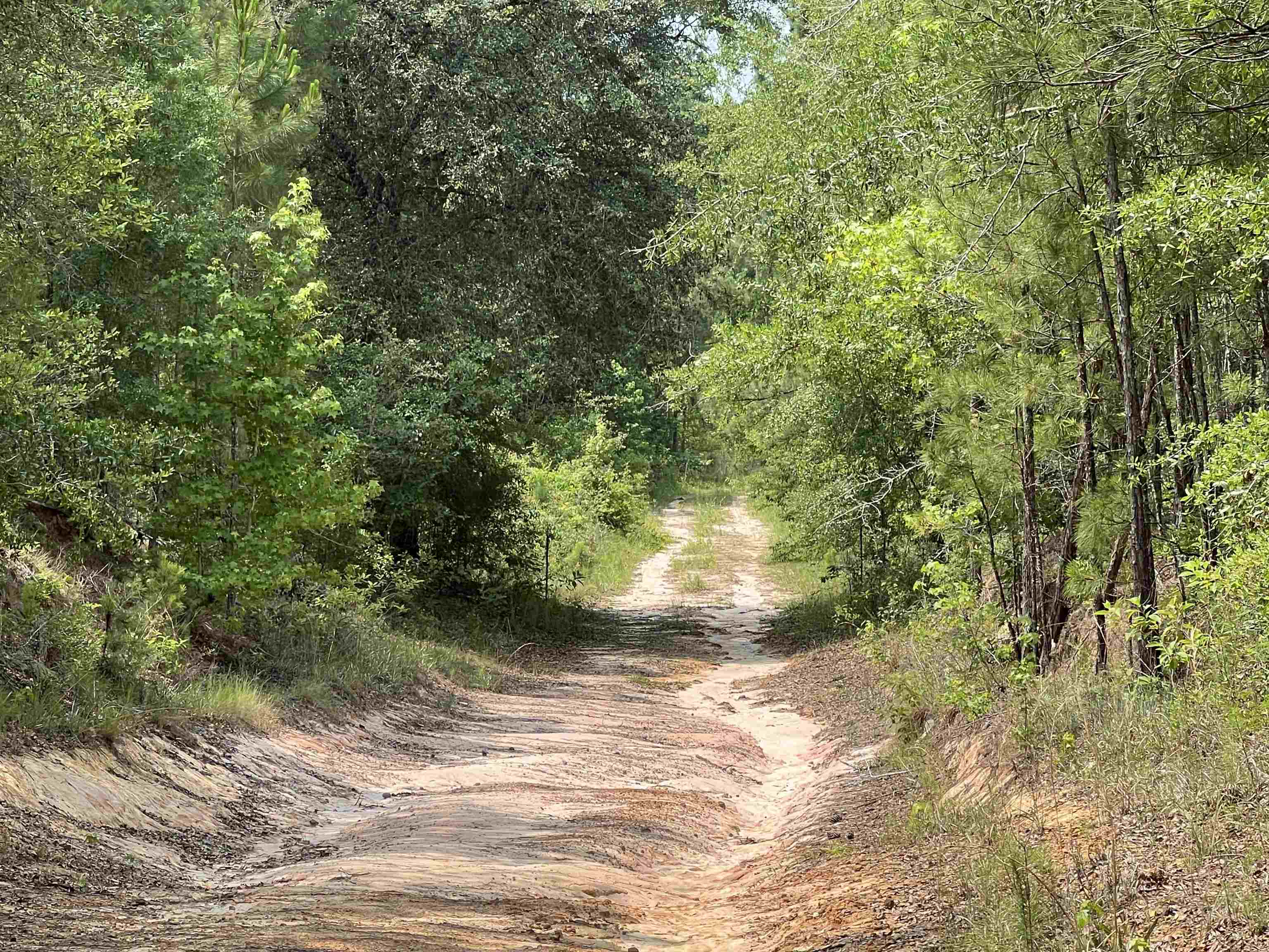 XX Glory Road, Quincy, Texas image 25