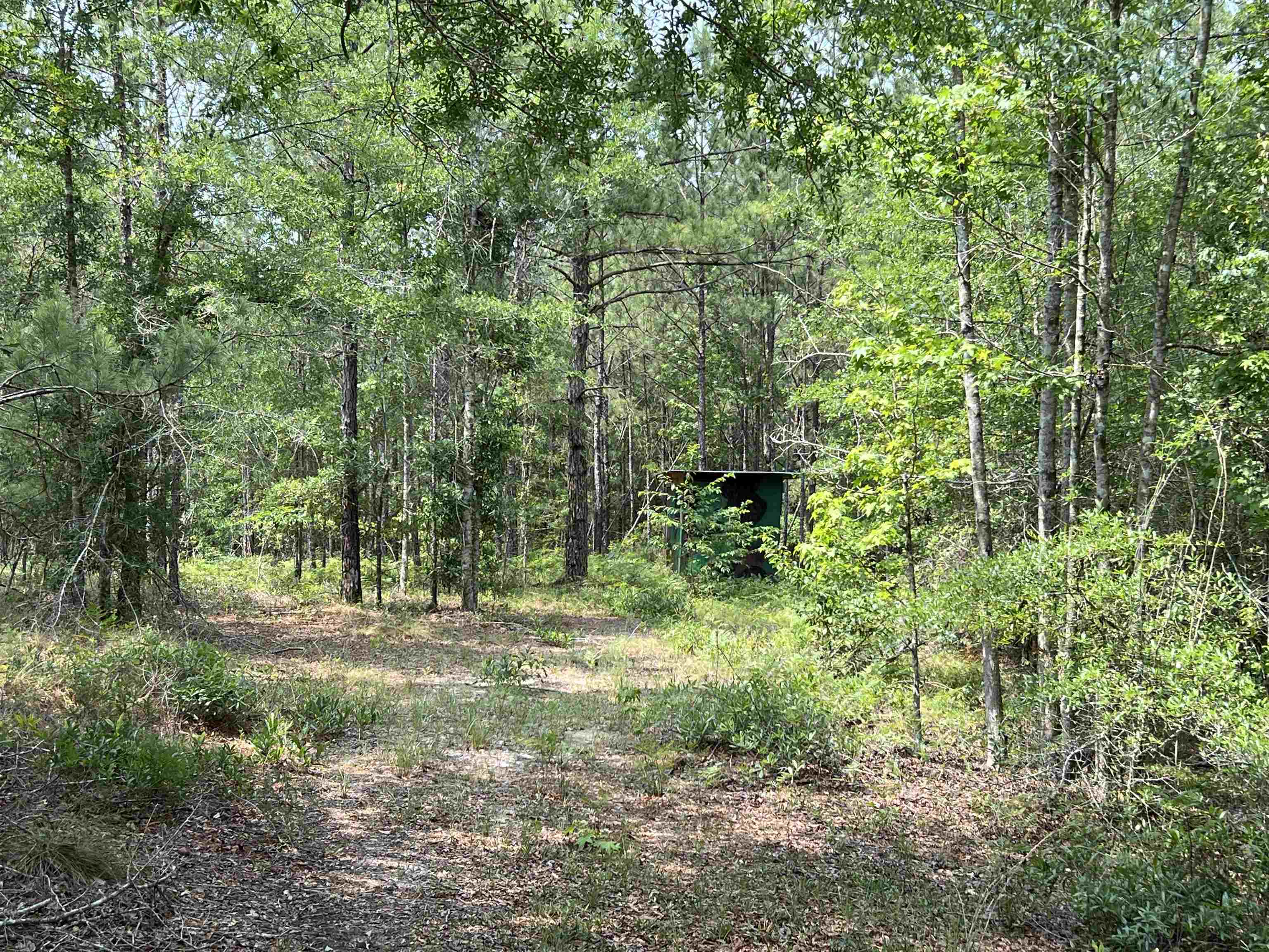 0200 Shade Farm Road, Quincy, Florida image 7