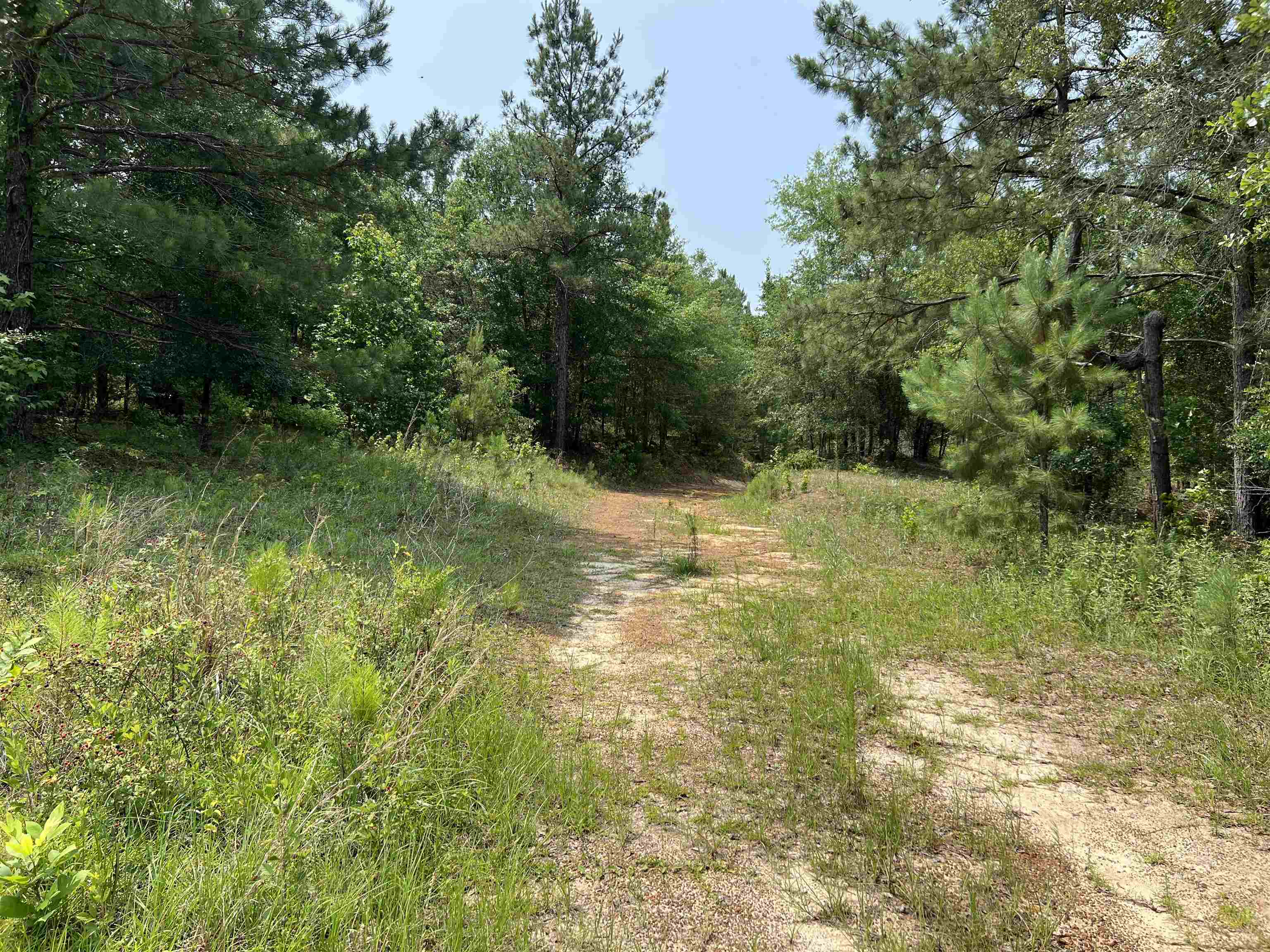 0200 Shade Farm Road, Quincy, Florida image 8