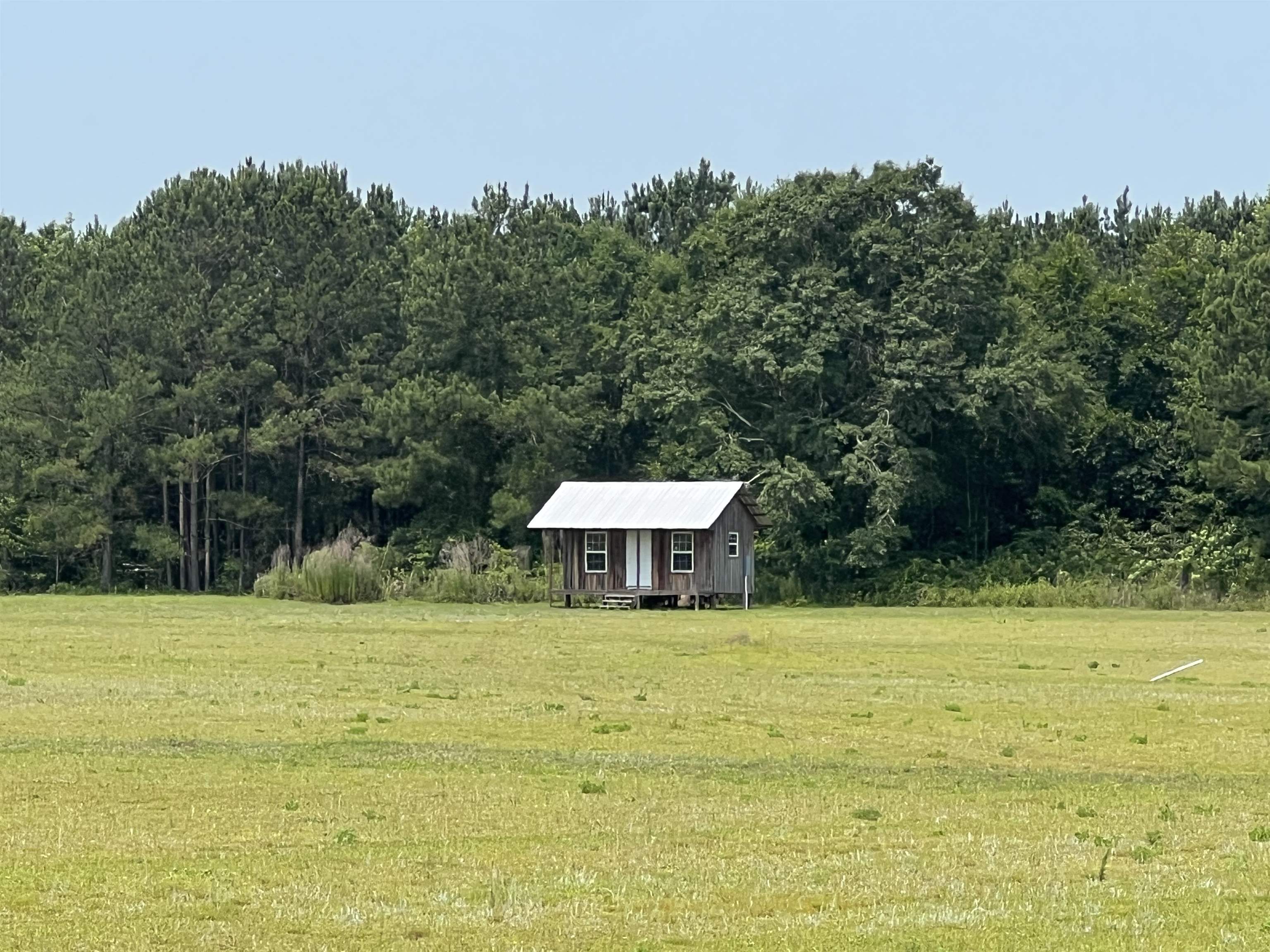 0300 Shade Farm Road, Quincy, Florida image 2