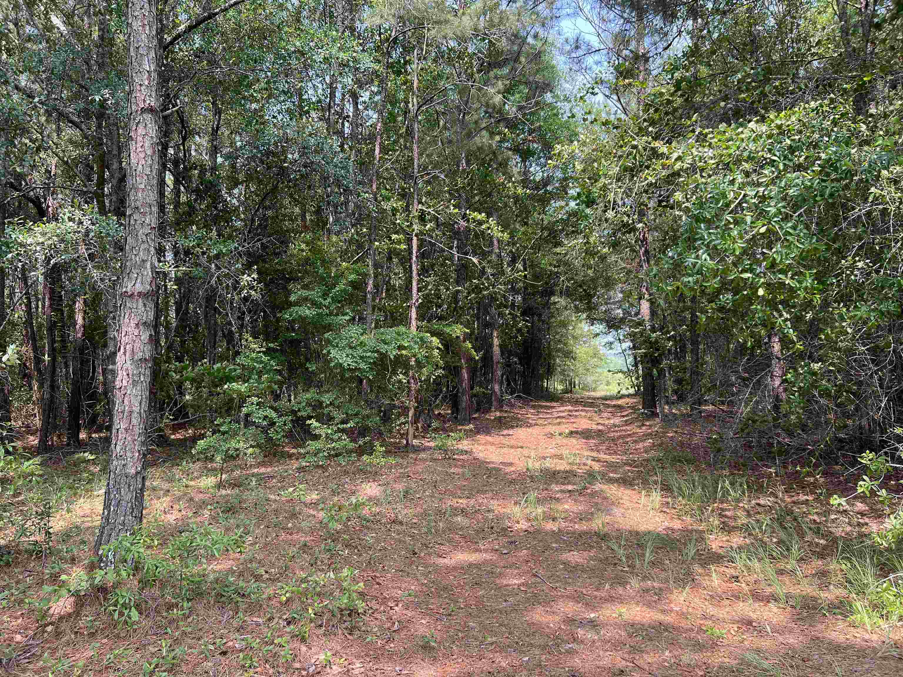 0300 Shade Farm Road, Quincy, Florida image 7
