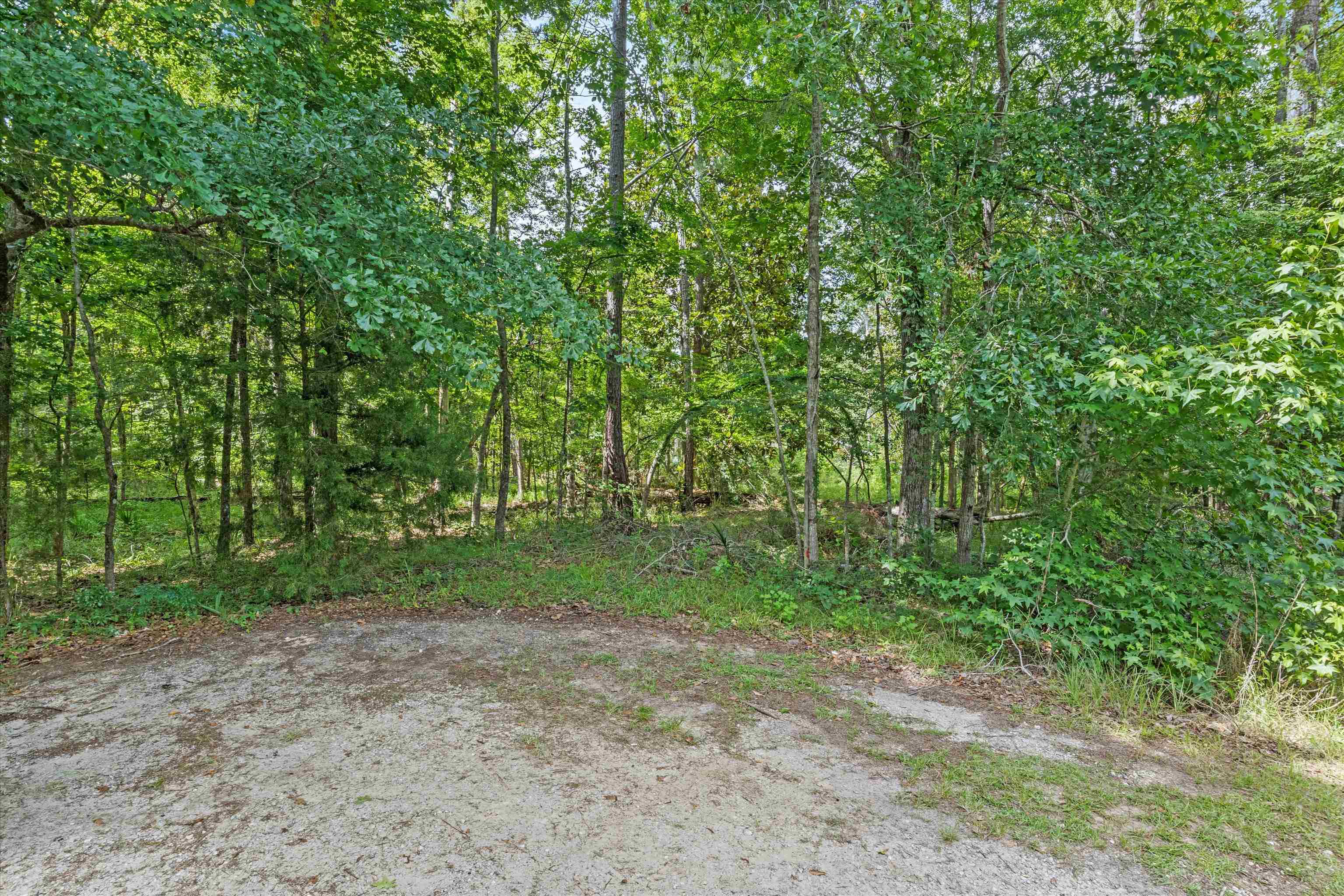 125 Darwin Place, Quincy, Florida image 1