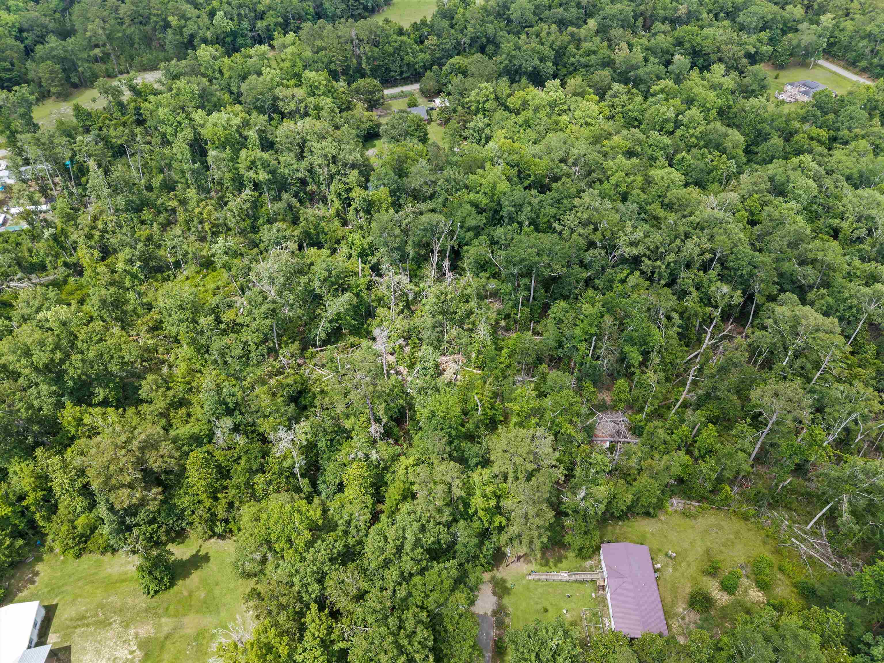 125 Darwin Place, Quincy, Florida image 15