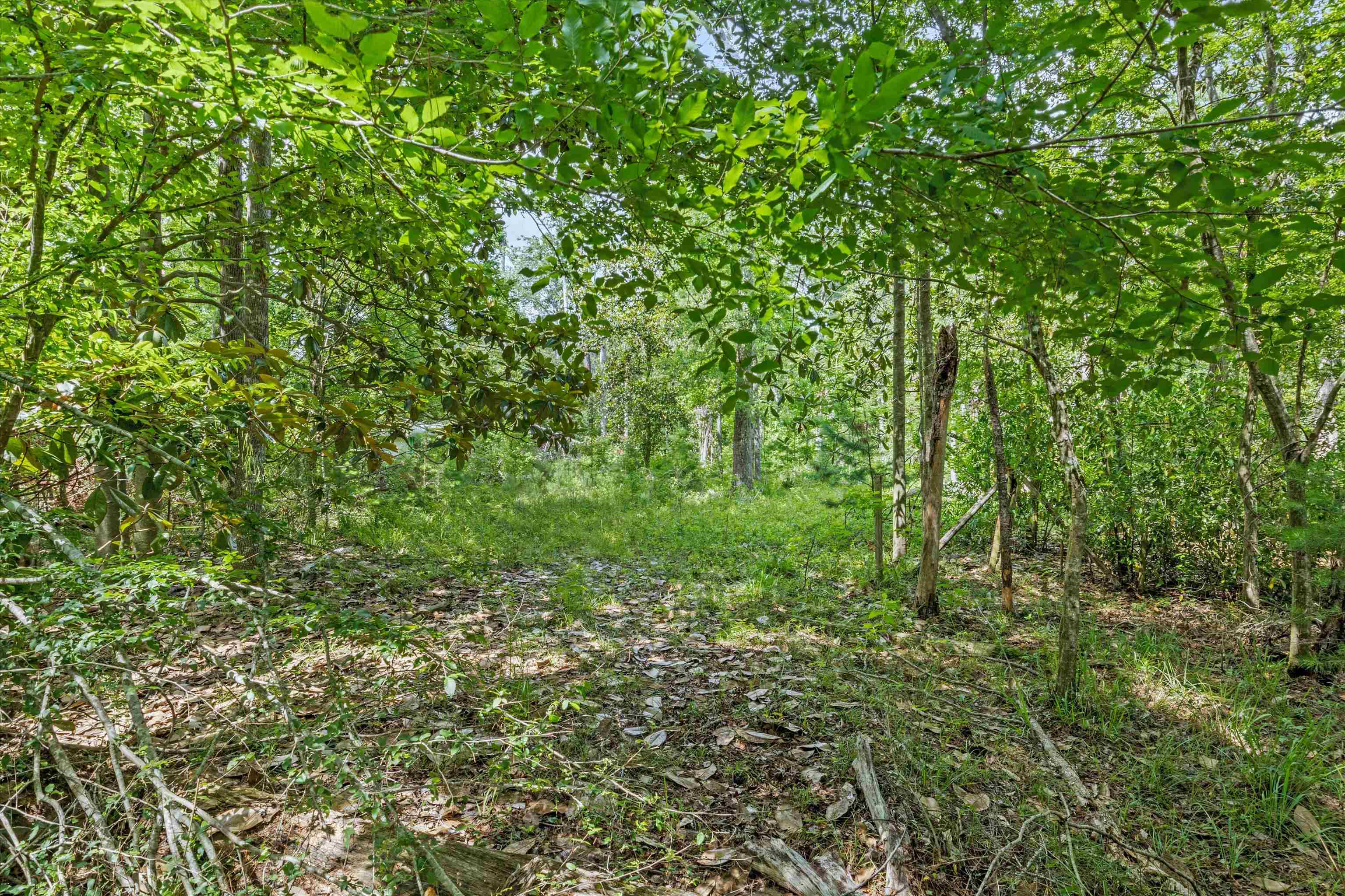 125 Darwin Place, Quincy, Florida image 3