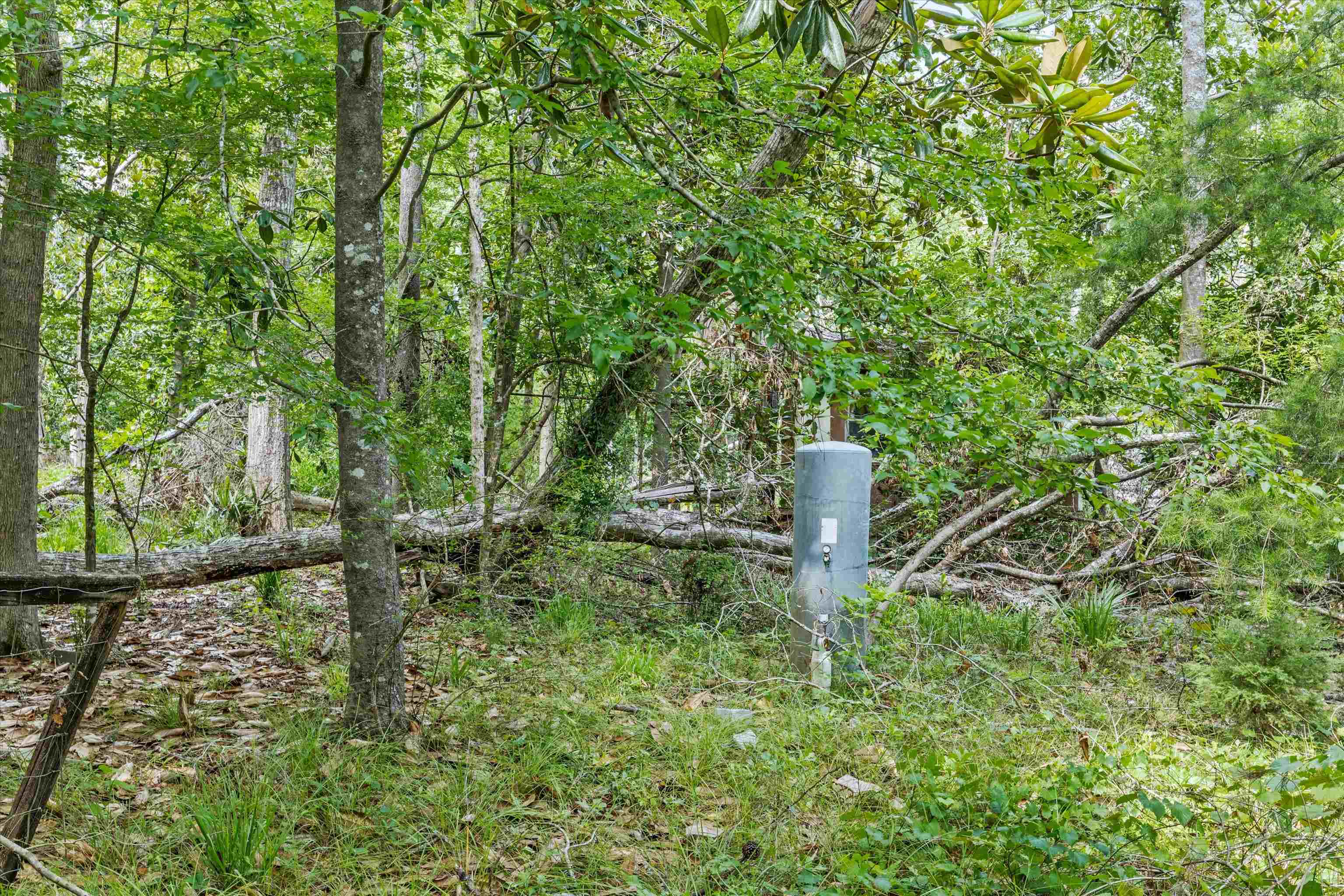 125 Darwin Place, Quincy, Florida image 8