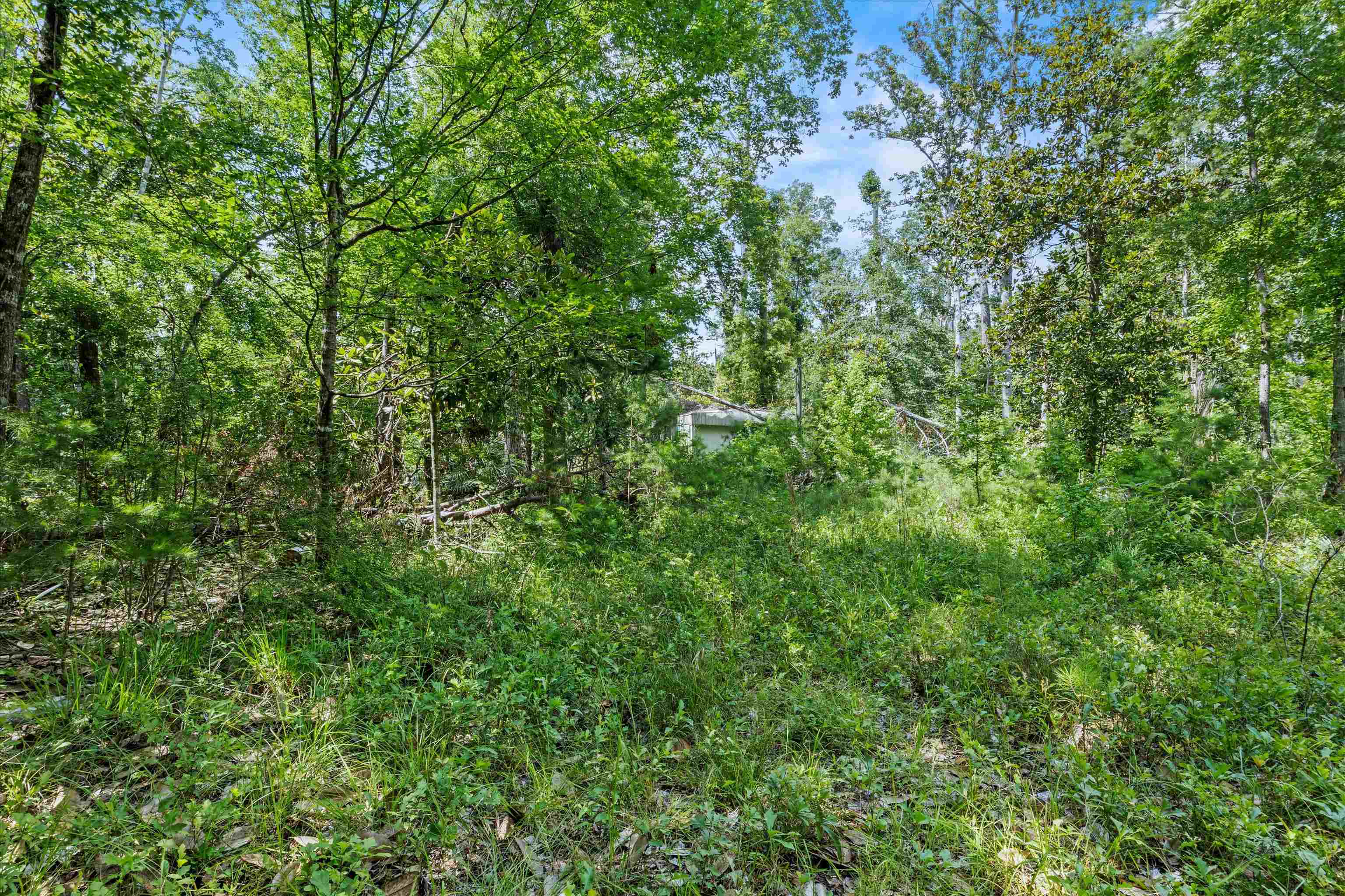 120 Darwin Place, Quincy, Texas image 6