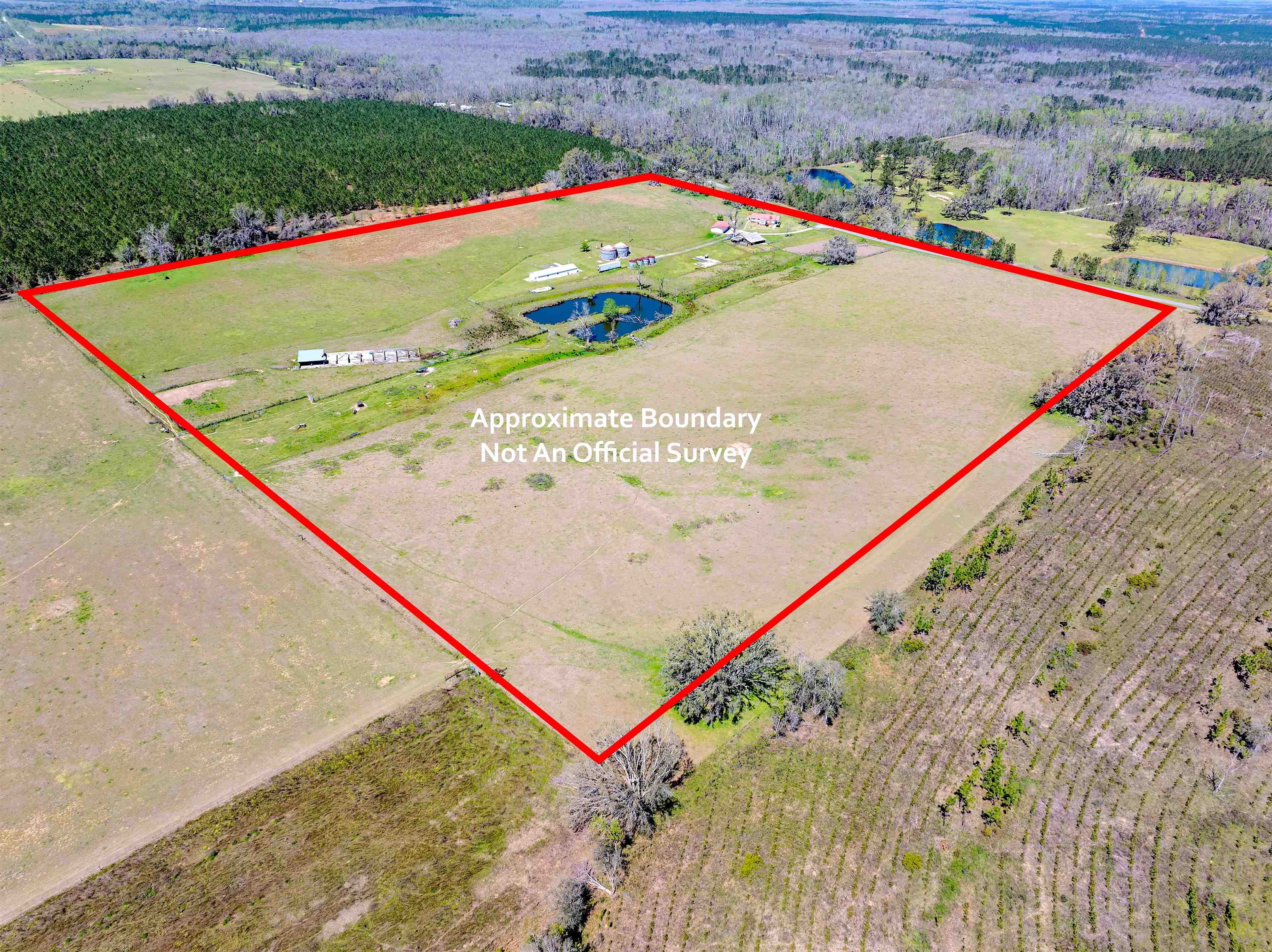 511 SW Sundown Creek Road, Madison, Texas image 2