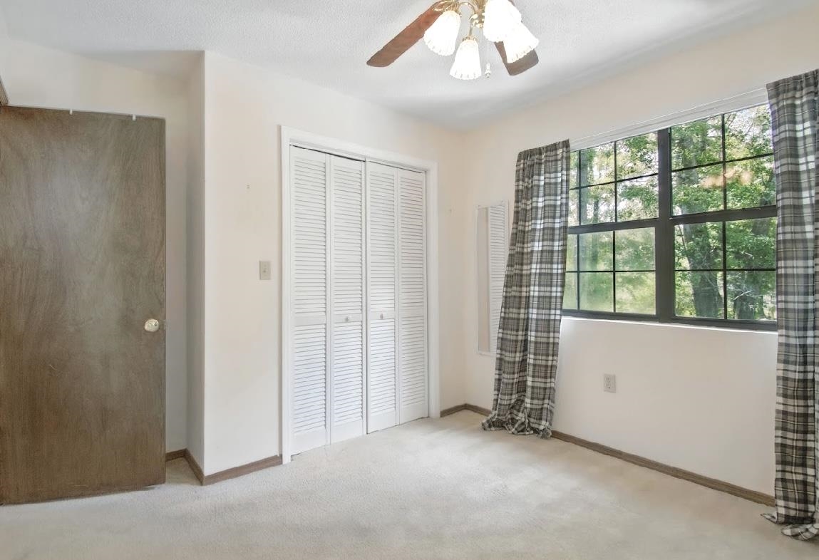 11096 Tung Grove, Tallahassee, Florida image 11