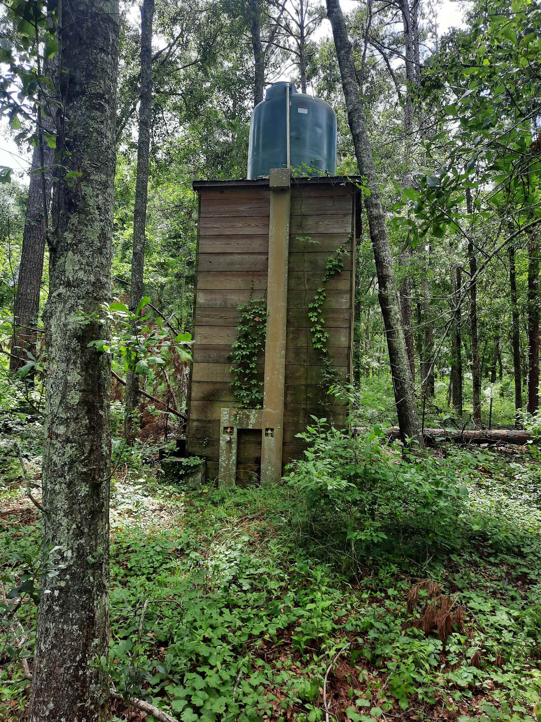 70 E 2nd Way, Greenville, Florida image 3
