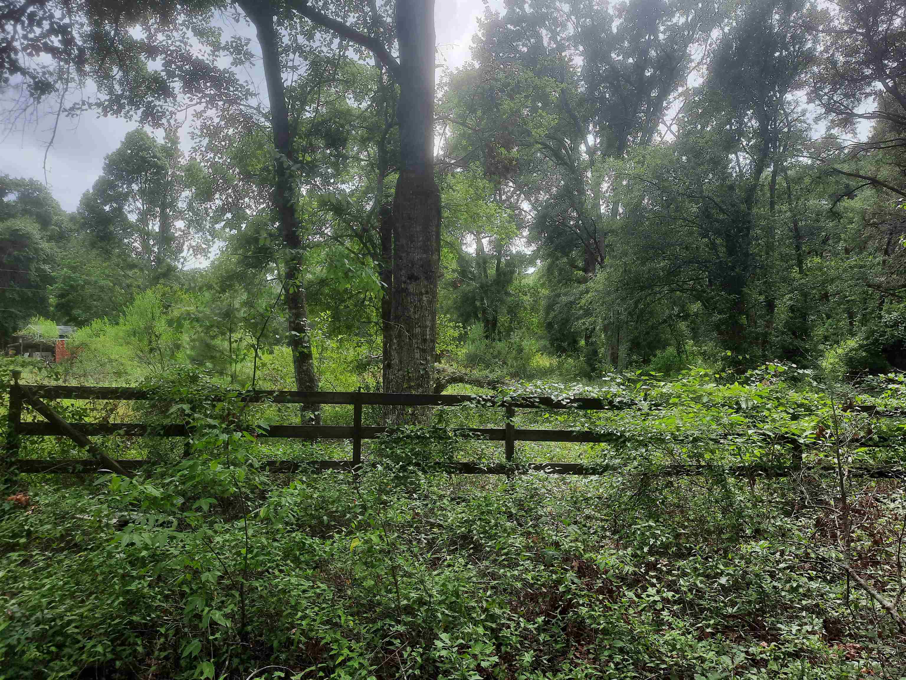 70 E 2nd Way, Greenville, Florida image 6