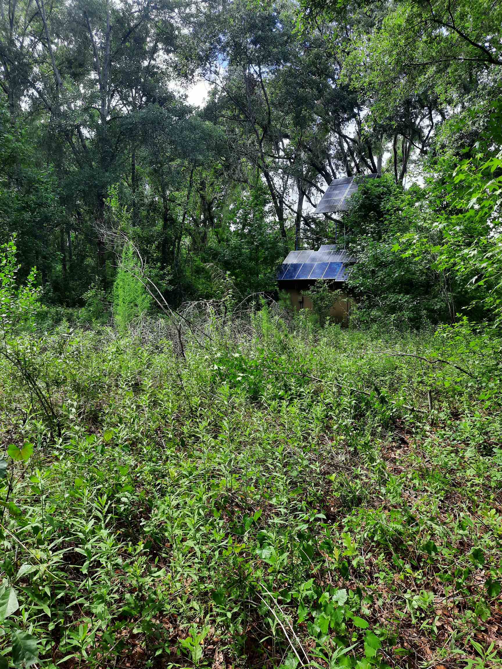 70 E 2nd Way, Greenville, Florida image 7