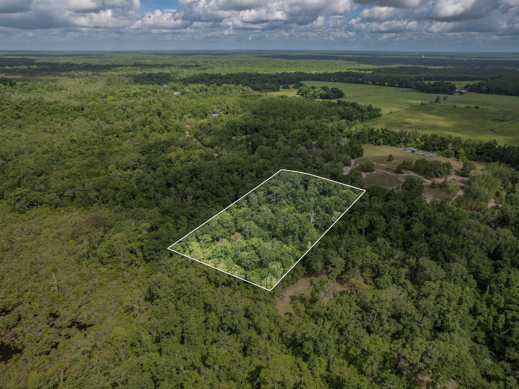 XX J K Moore Road, Crawfordville, Florida image 5