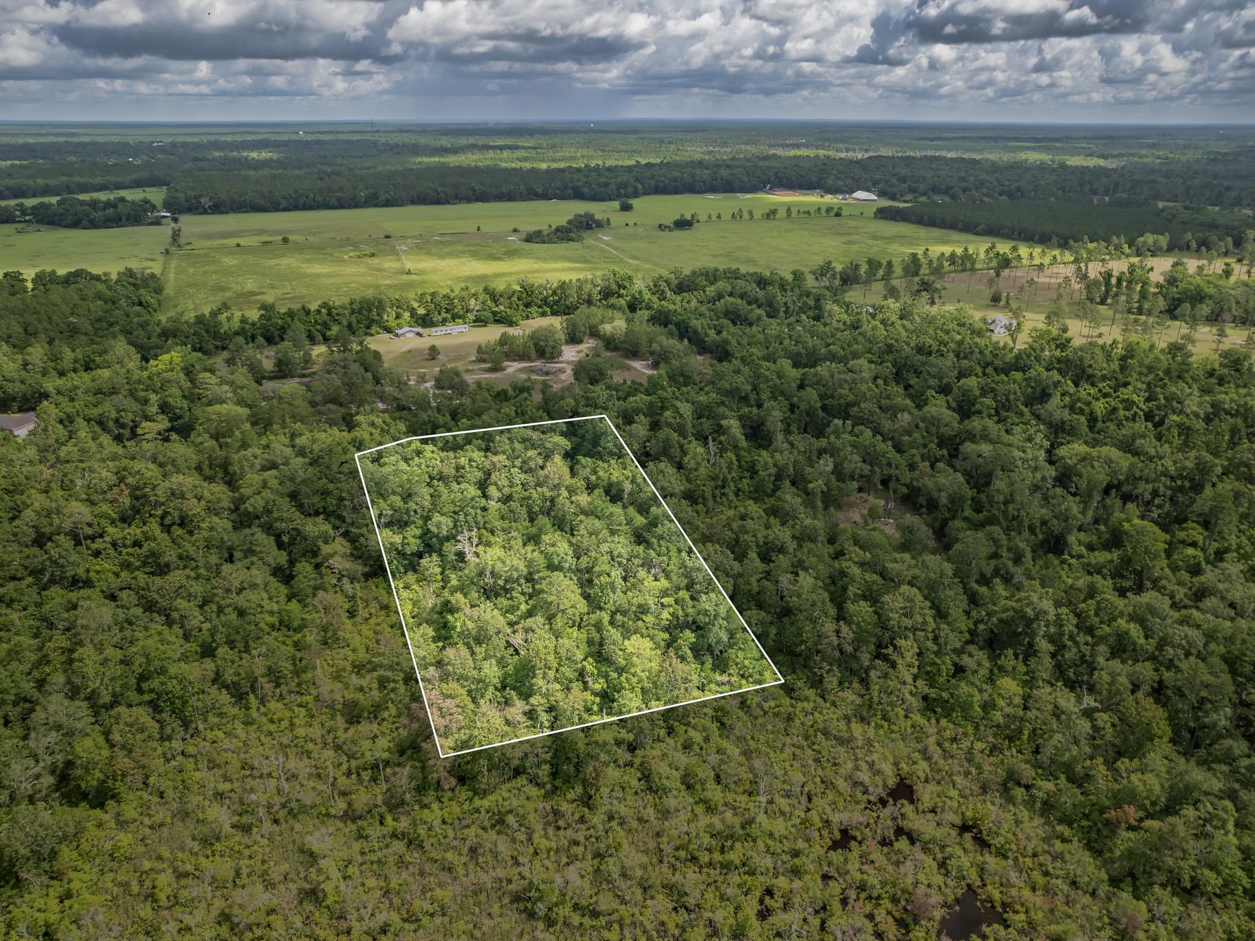XX J K Moore Road, Crawfordville, Florida image 8