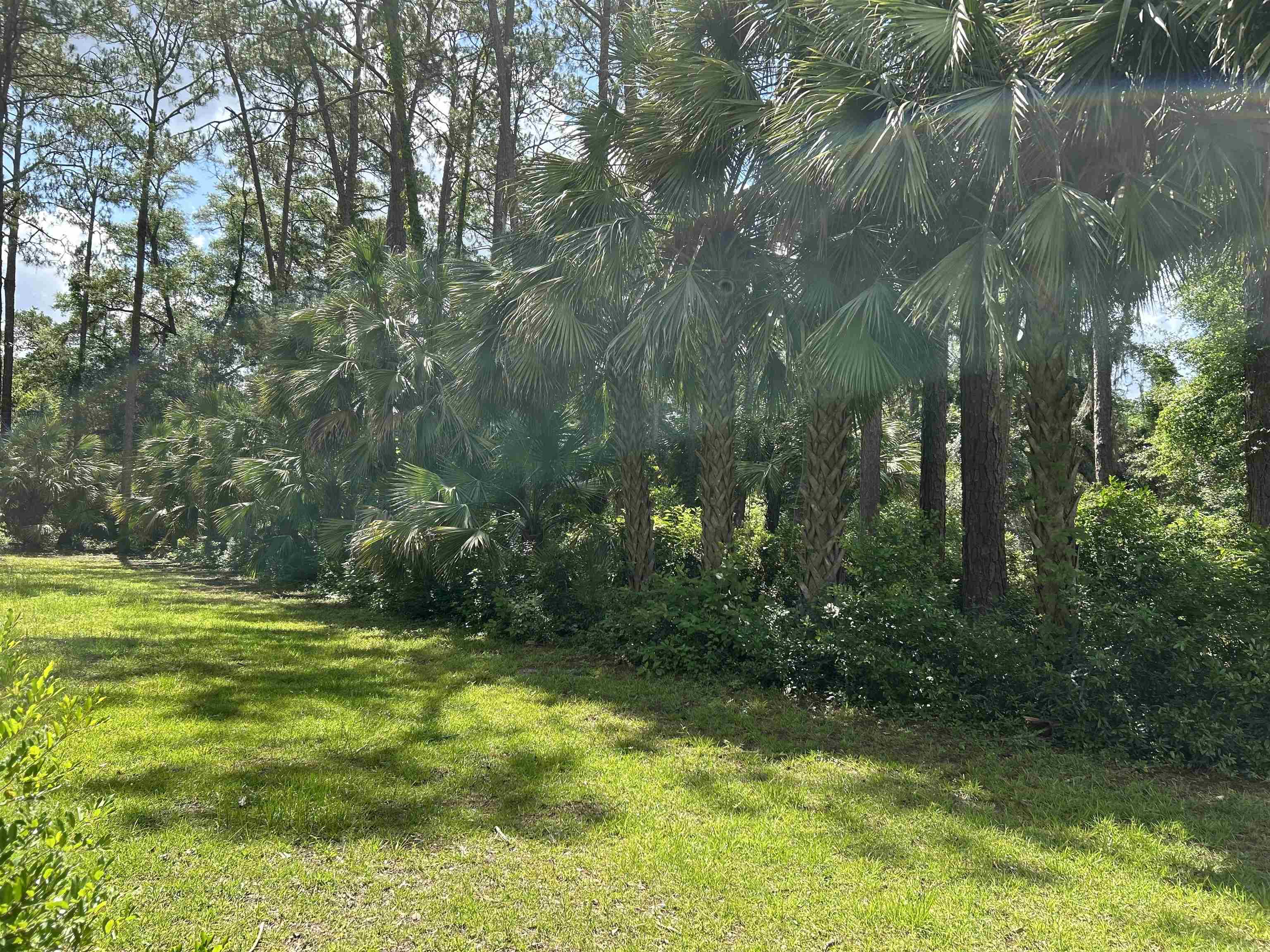 1532 Country Lane, Tallahassee, Florida image 16