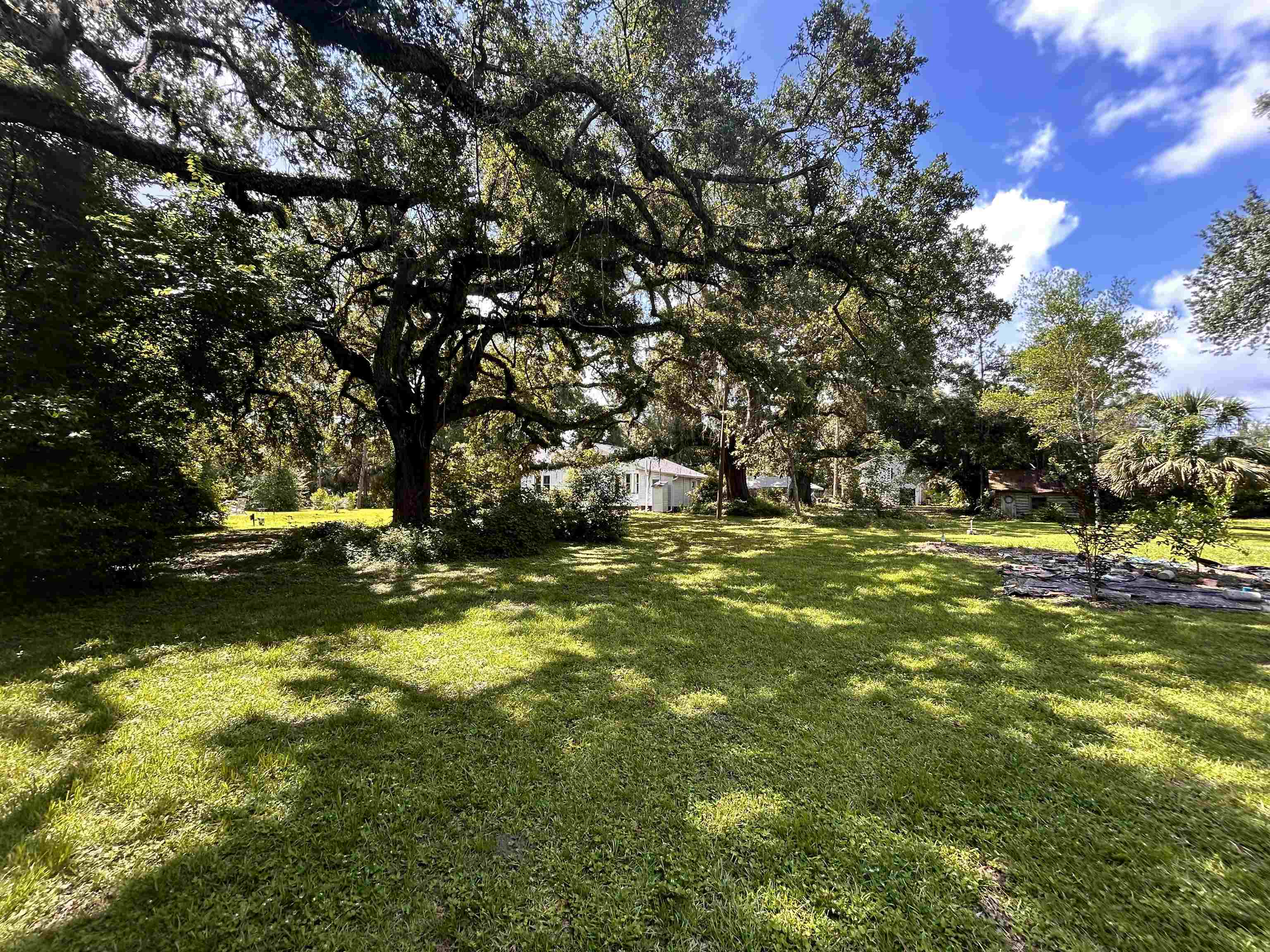 1532 Country Lane, Tallahassee, Florida image 7