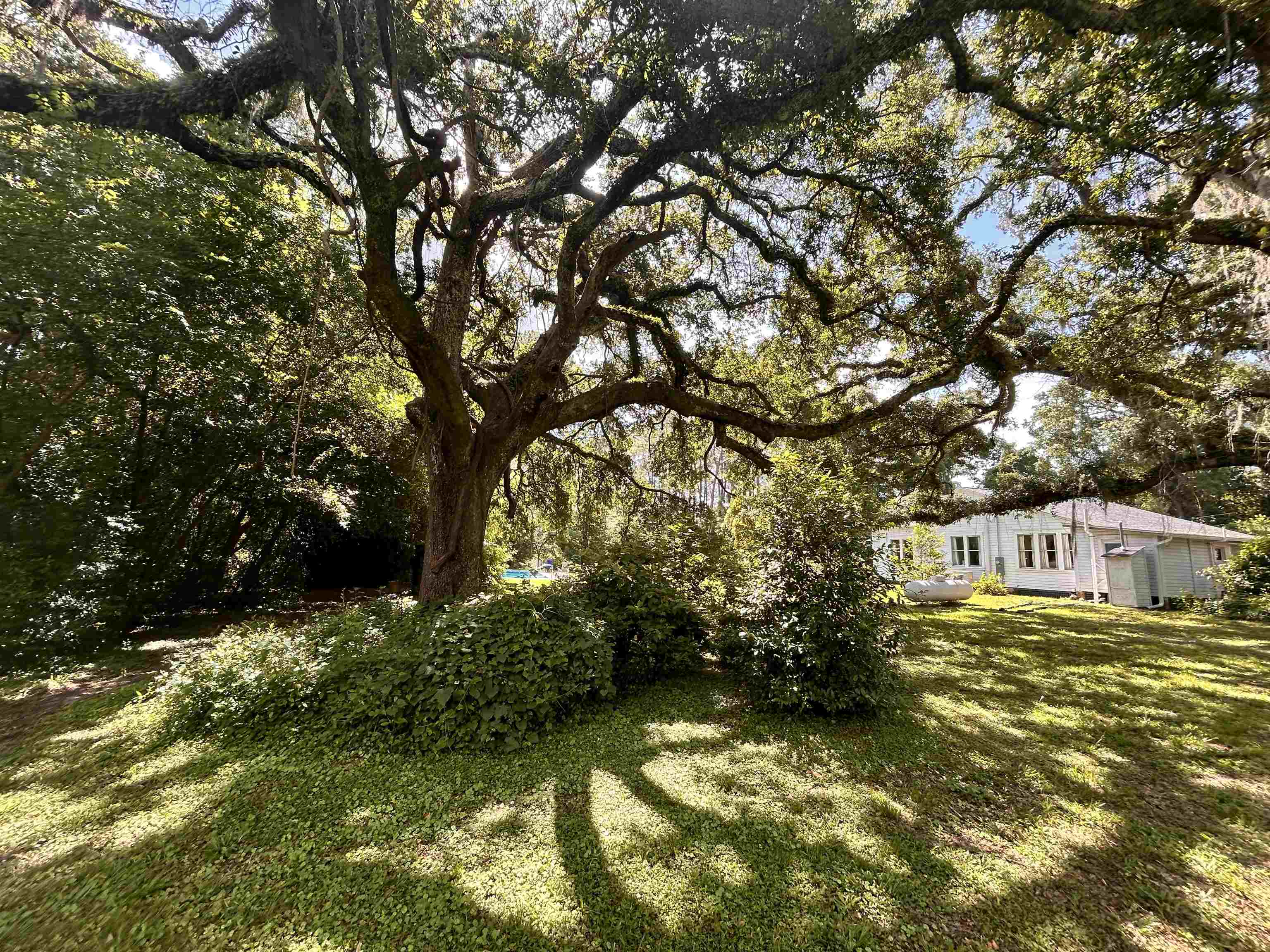 1532 Country Lane, Tallahassee, Florida image 8