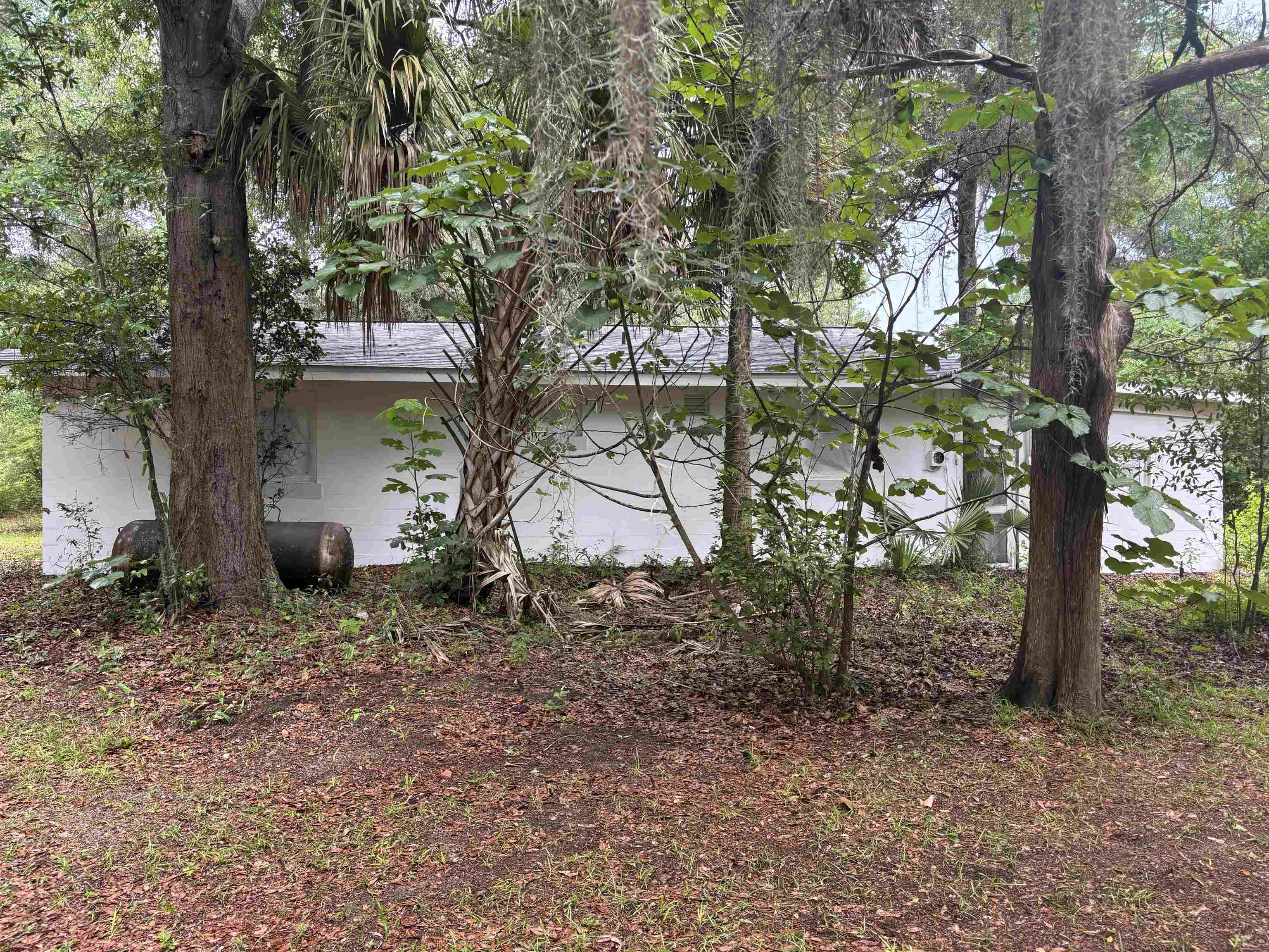 8401 Blountstown Highway, Tallahassee, Florida image 25
