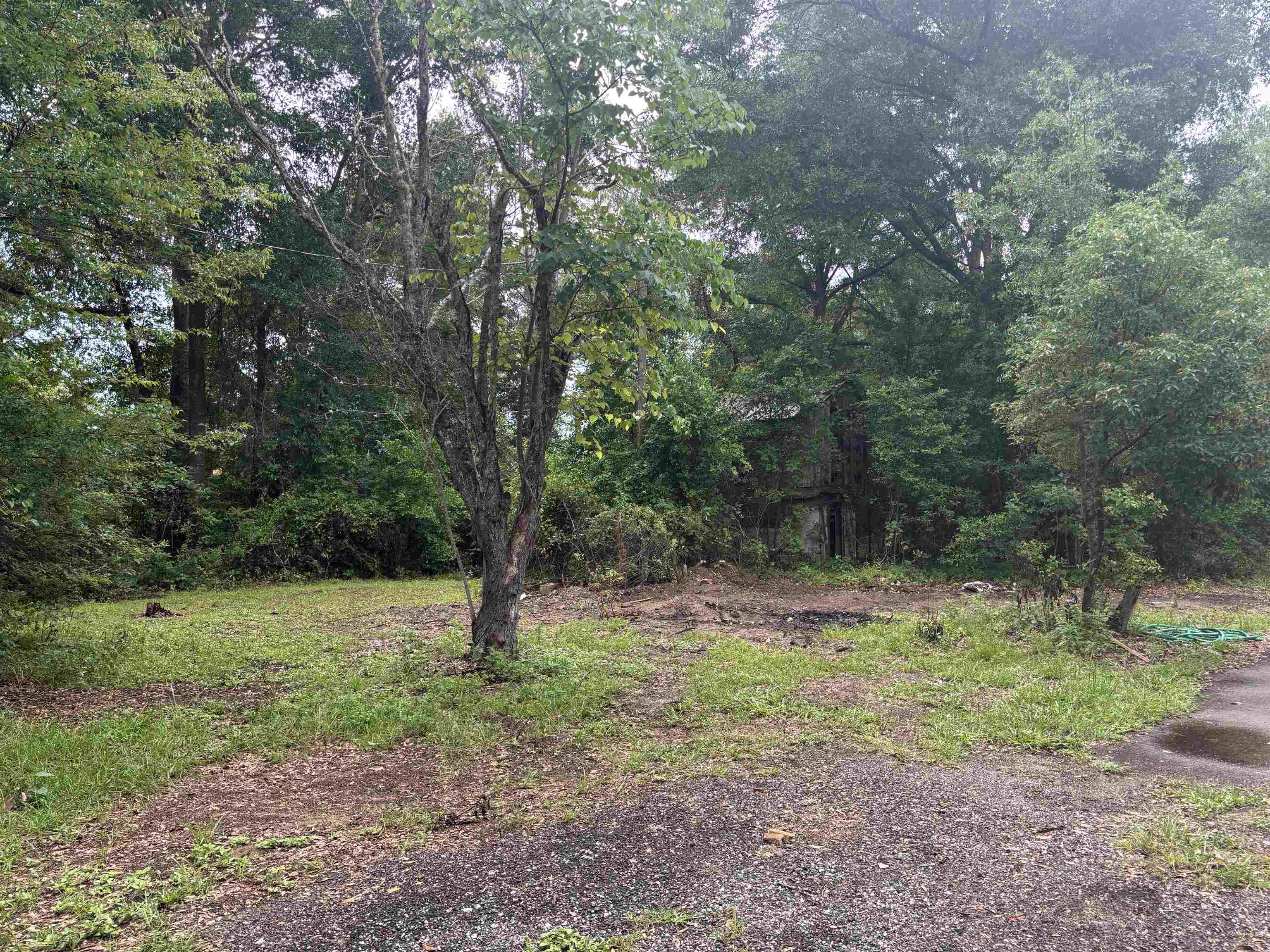 8401 Blountstown Highway, Tallahassee, Florida image 27