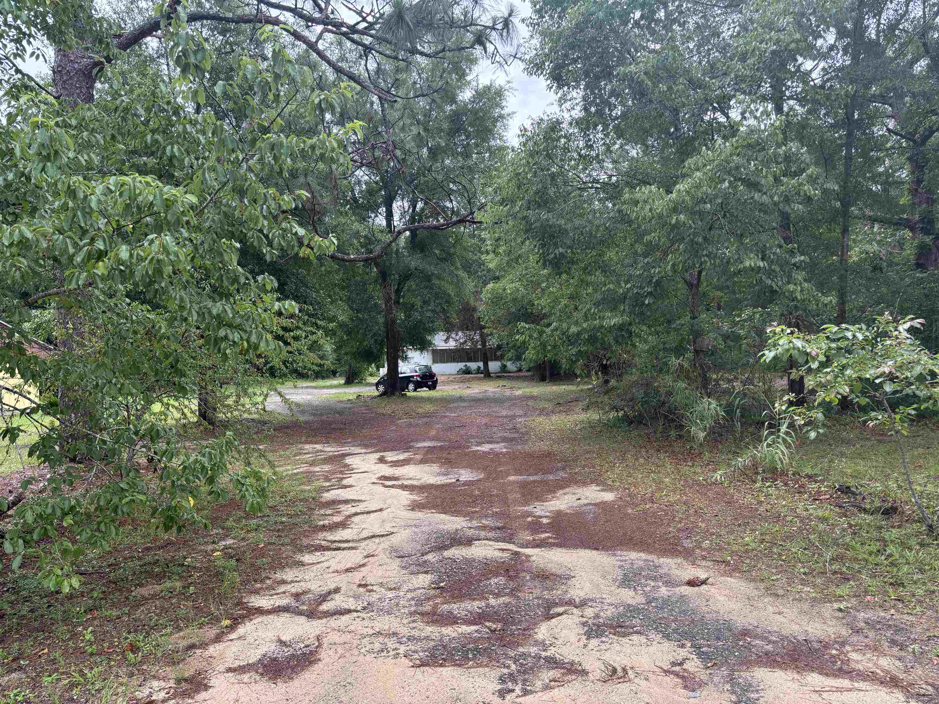 8401 Blountstown Highway, Tallahassee, Florida image 7