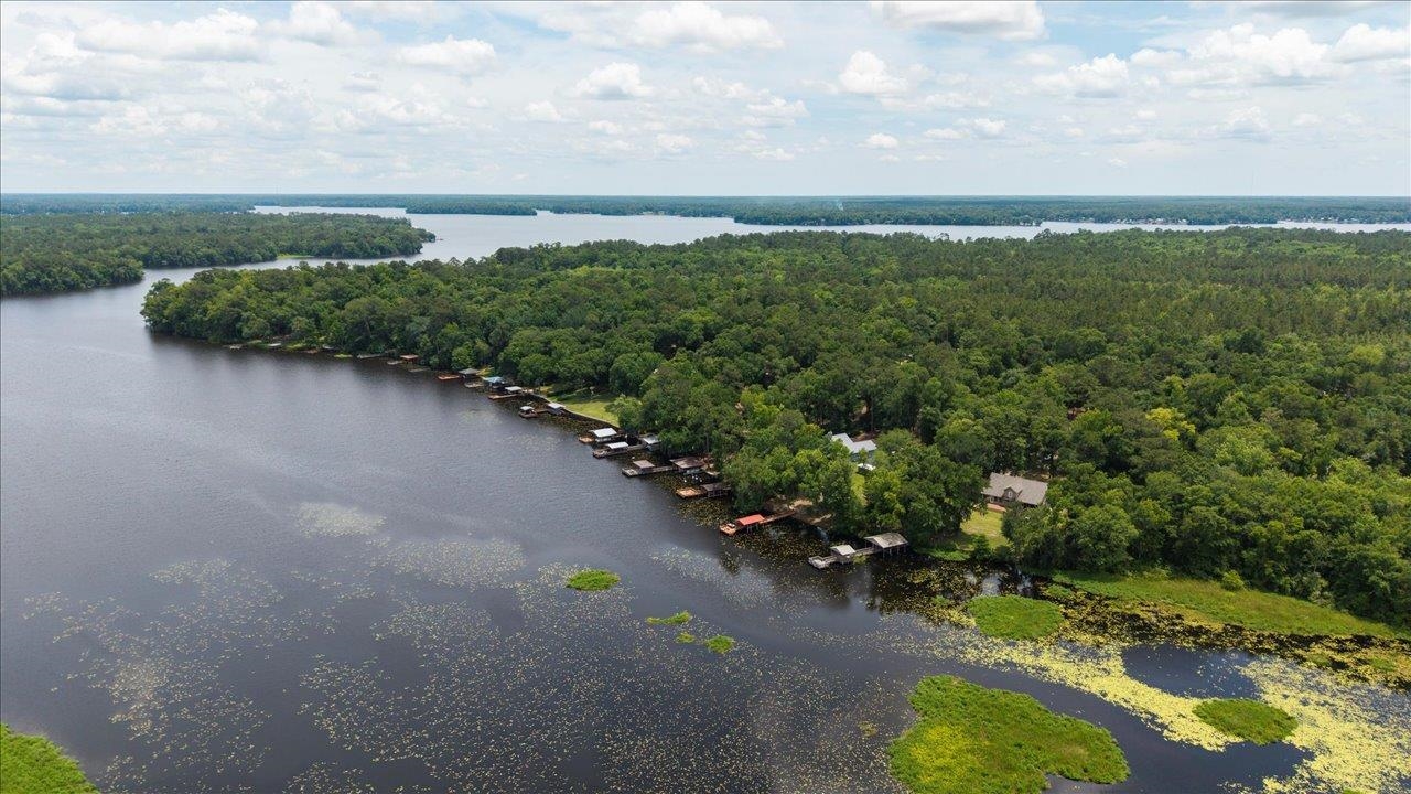 329 Gould Road, Quincy, Florida image 41