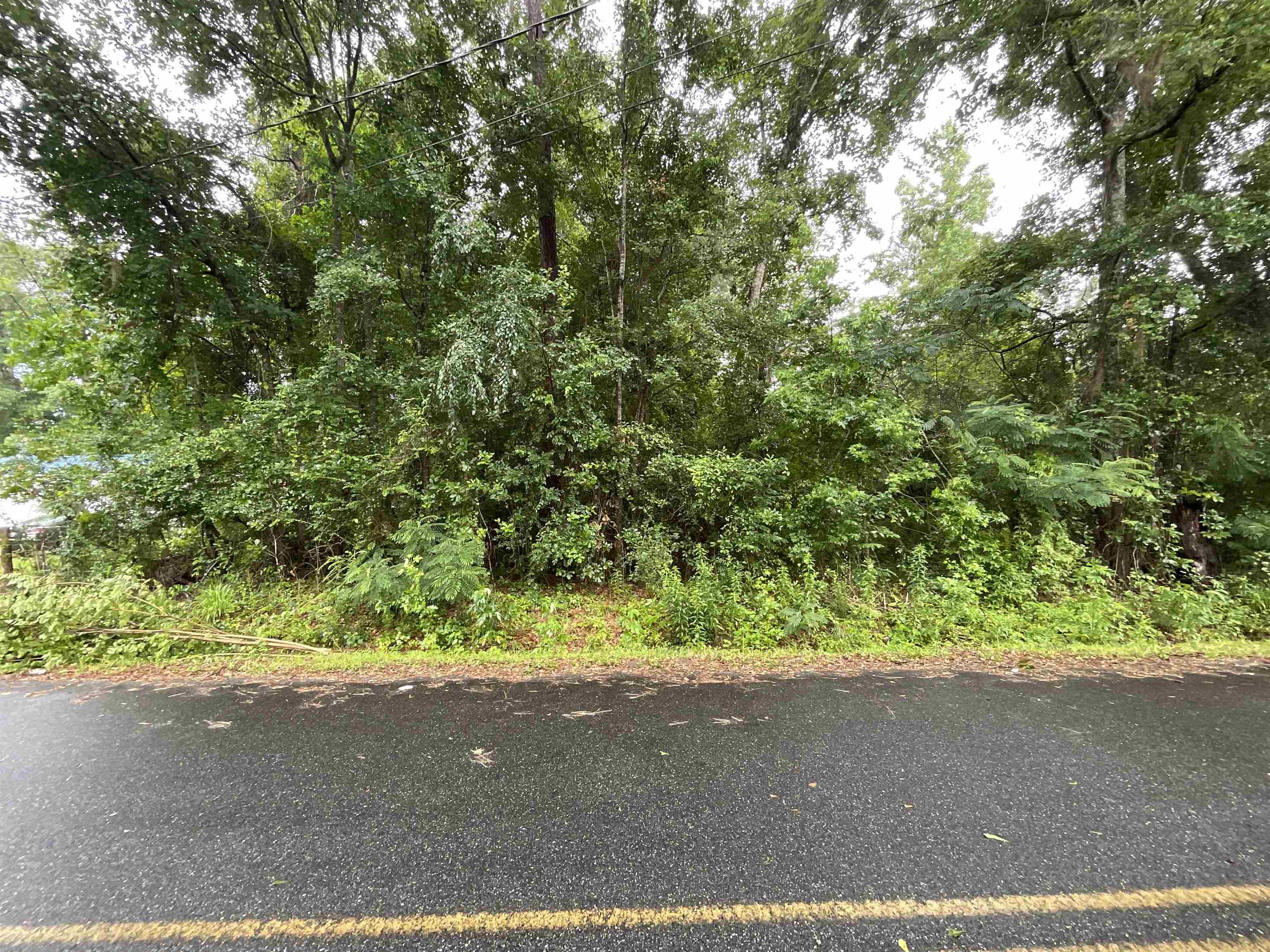 Vacant Lakeview Drive, Havana, Texas image 12