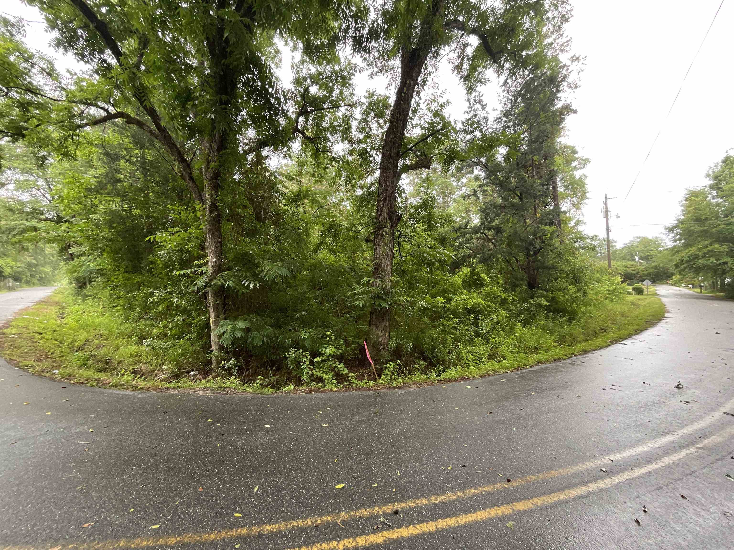 Vacant Lakeview Drive, Havana, Texas image 16