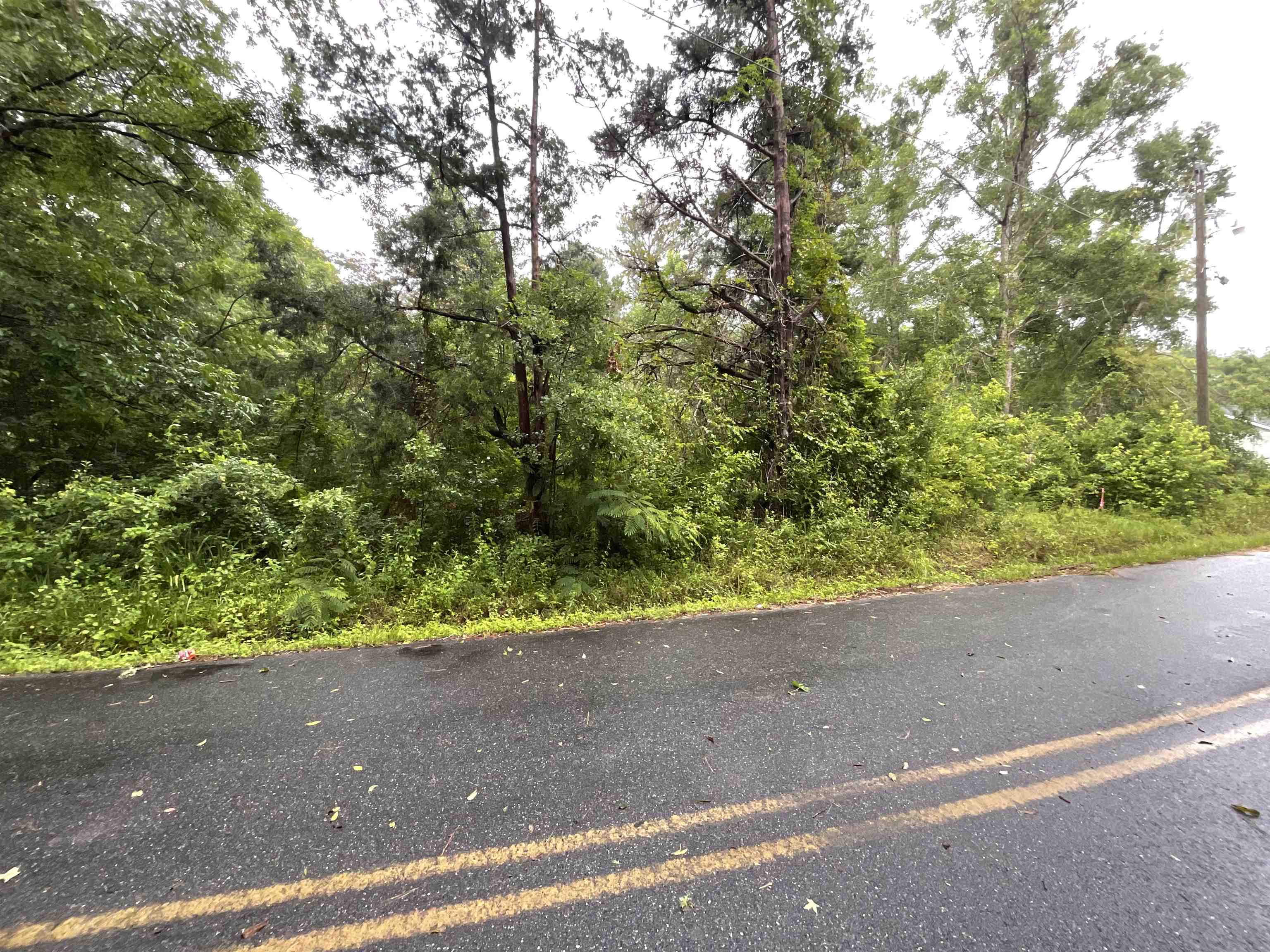 Vacant Lakeview Drive, Havana, Texas image 28
