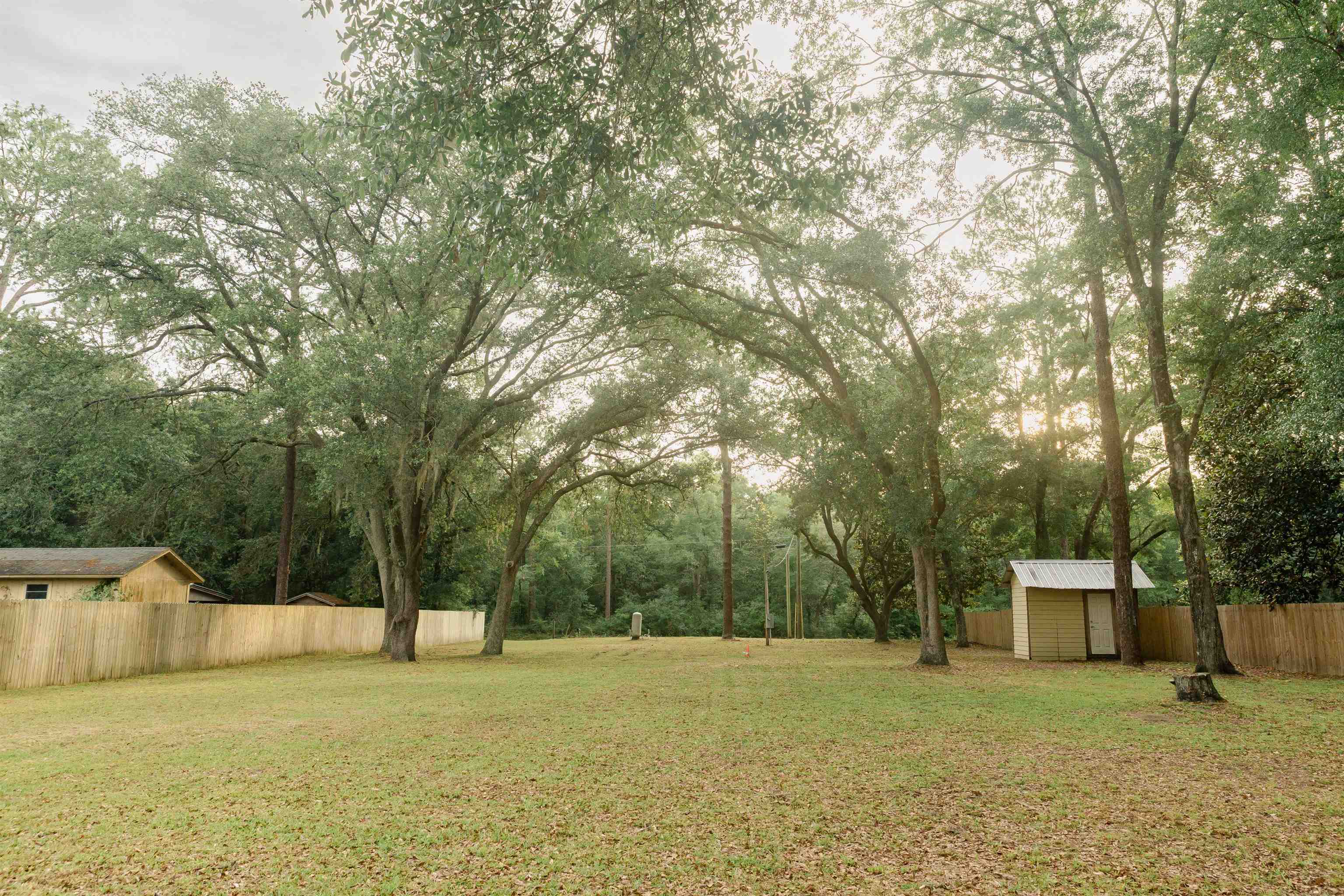 2149 Oscar Harvey Road, Tallahassee, Florida image 3