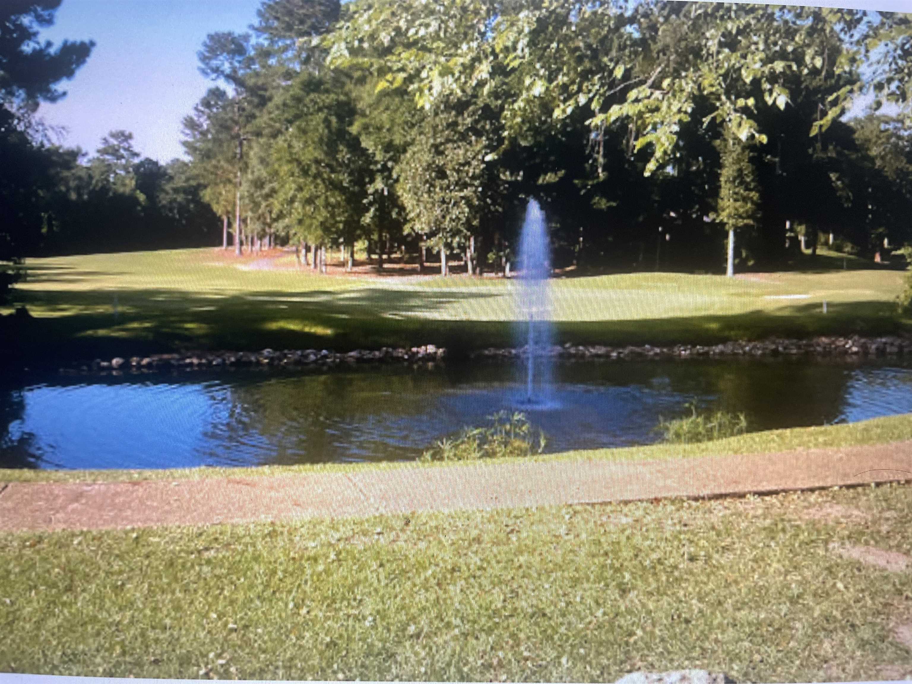 Eagles Ridge Drive, Tallahassee, Texas image 2