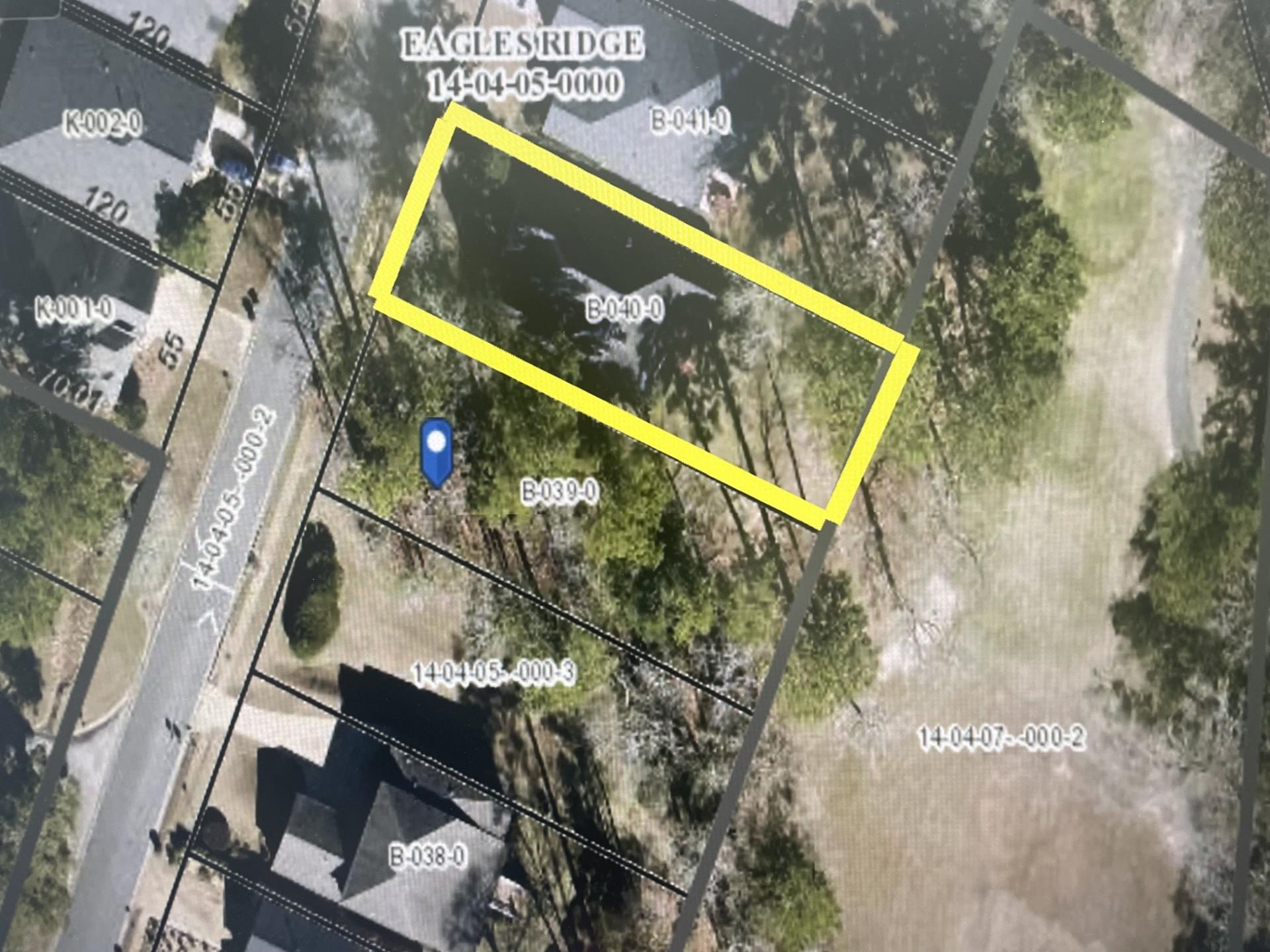 Eagles Ridge Drive, Tallahassee, Texas image 5