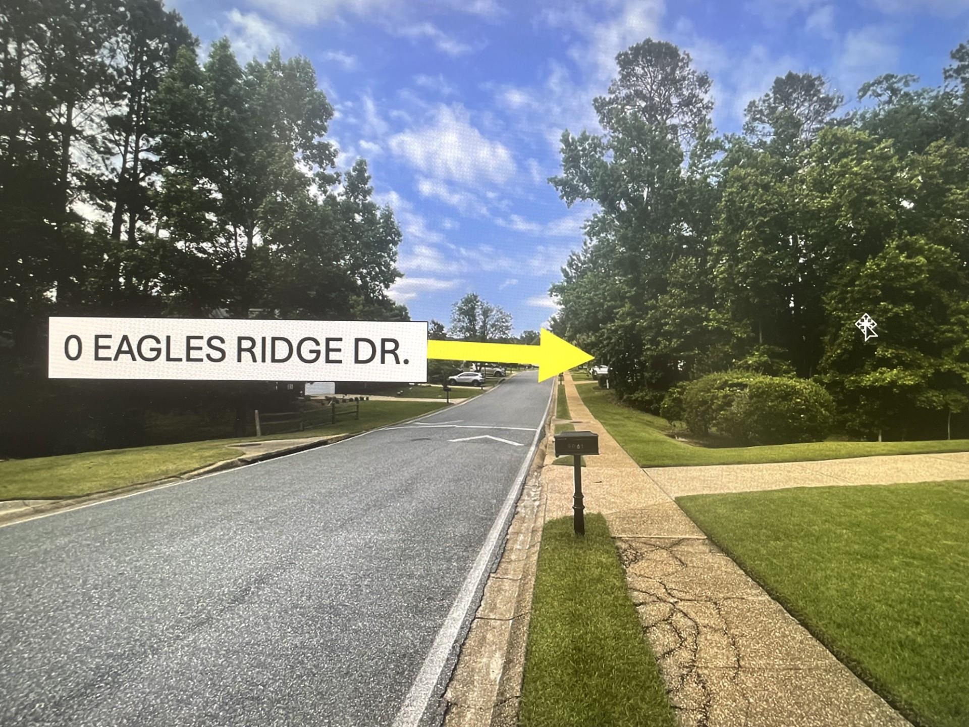Eagles Ridge Drive, Tallahassee, Texas image 6