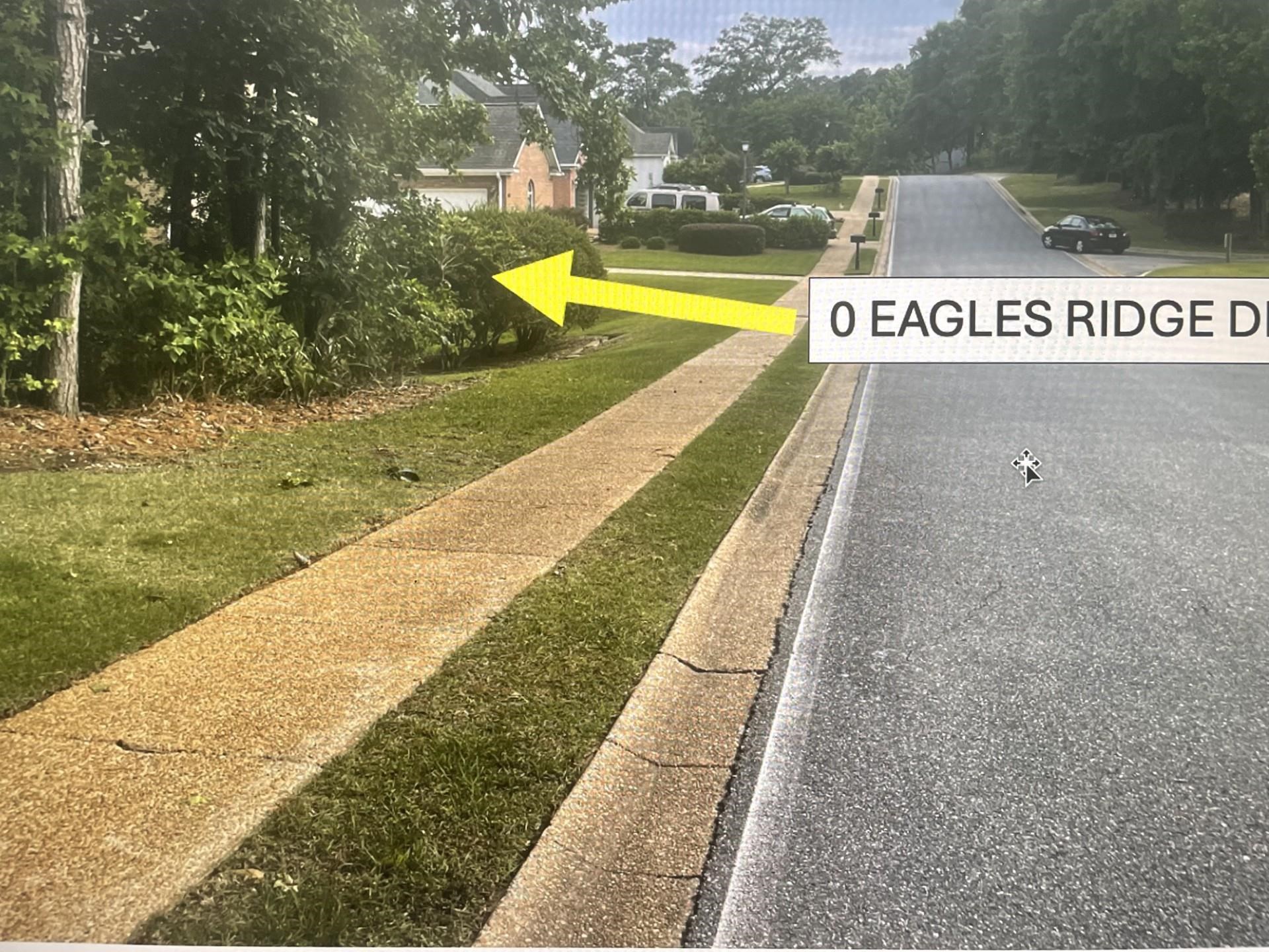 Eagles Ridge Drive, Tallahassee, Texas image 7