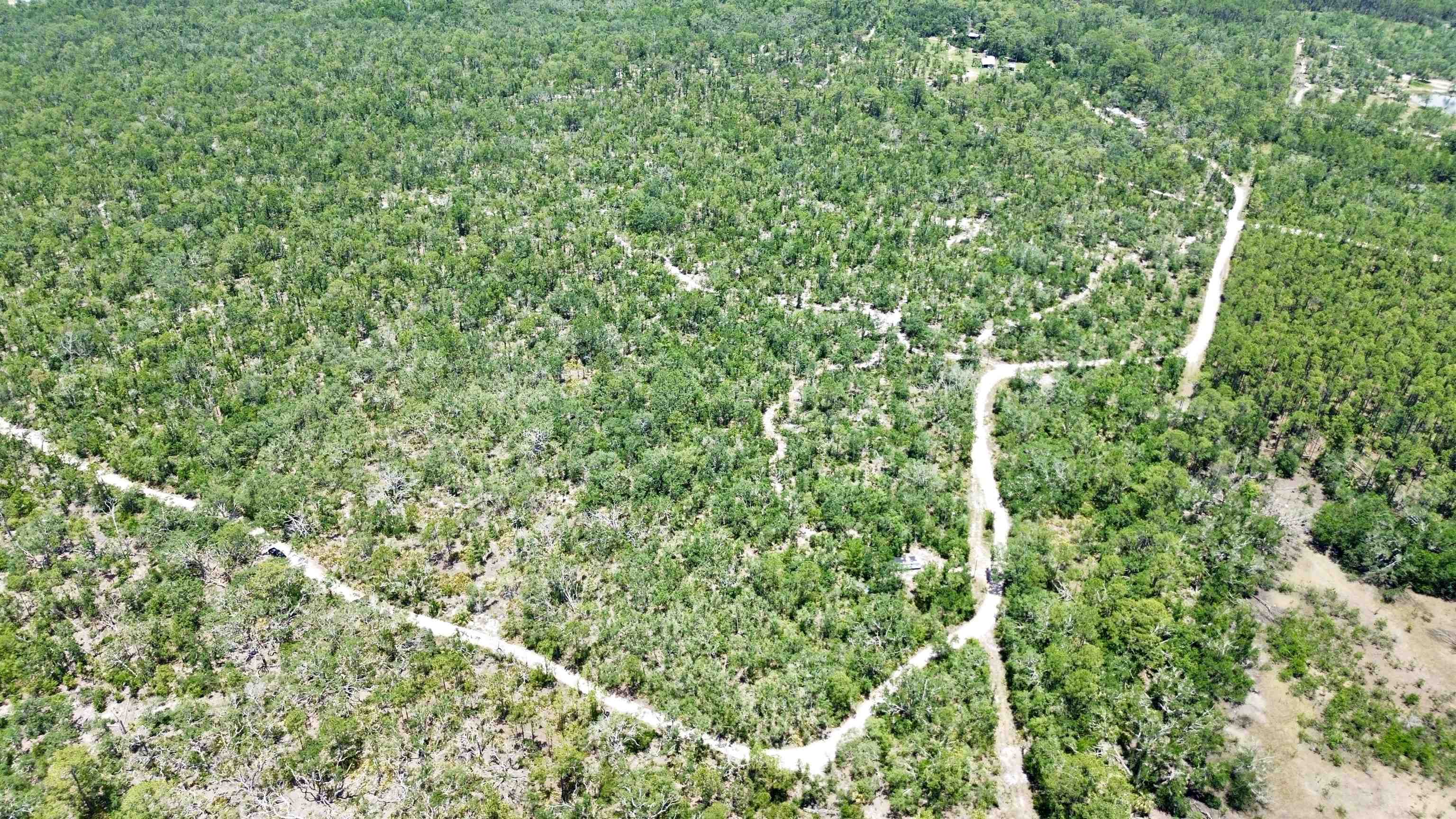 00 Clearwater Creek Lane, Perry, Florida image 1