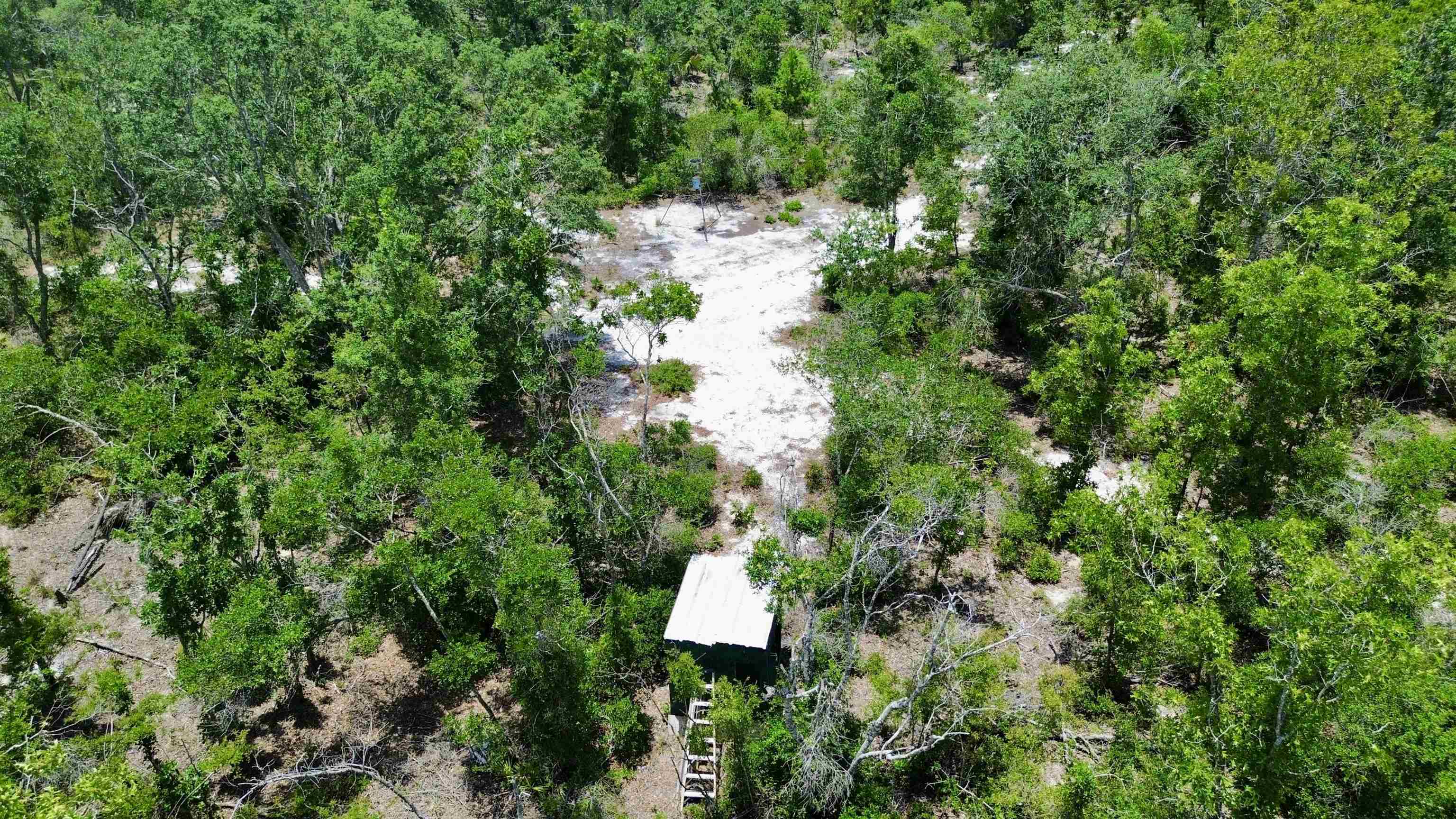 00 Clearwater Creek Lane, Perry, Florida image 10