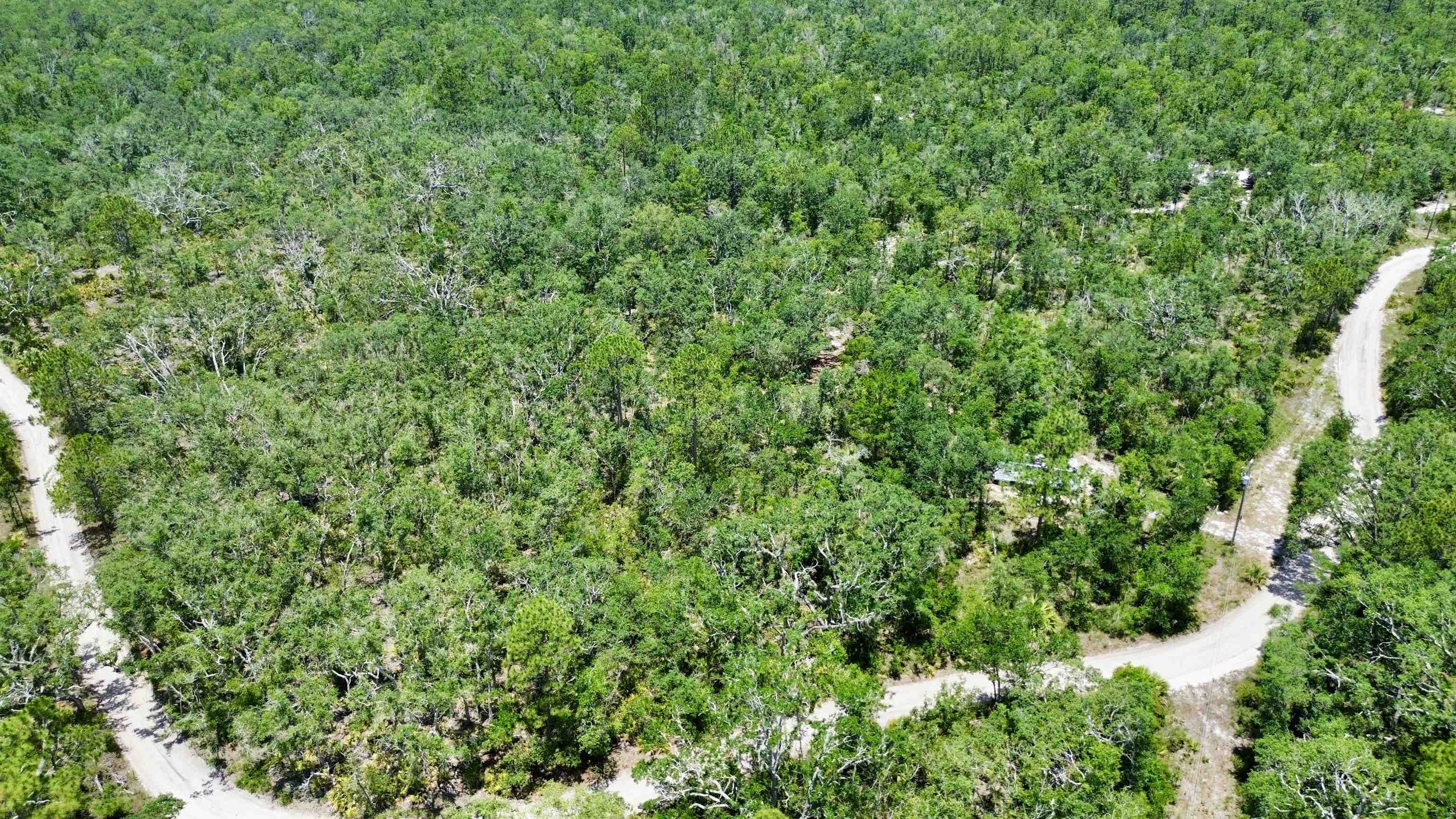 00 Clearwater Creek Lane, Perry, Florida image 16