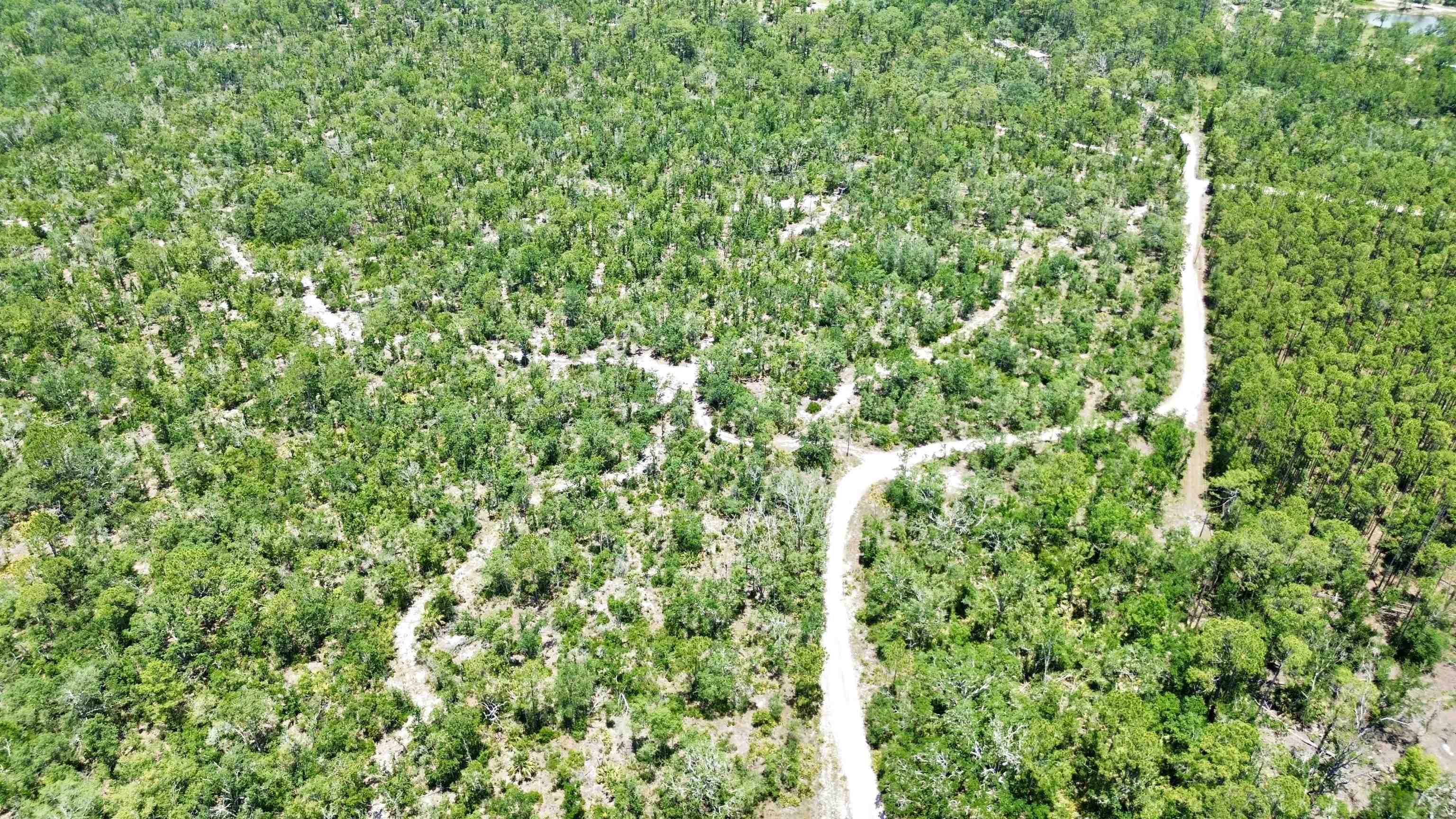00 Clearwater Creek Lane, Perry, Florida image 18