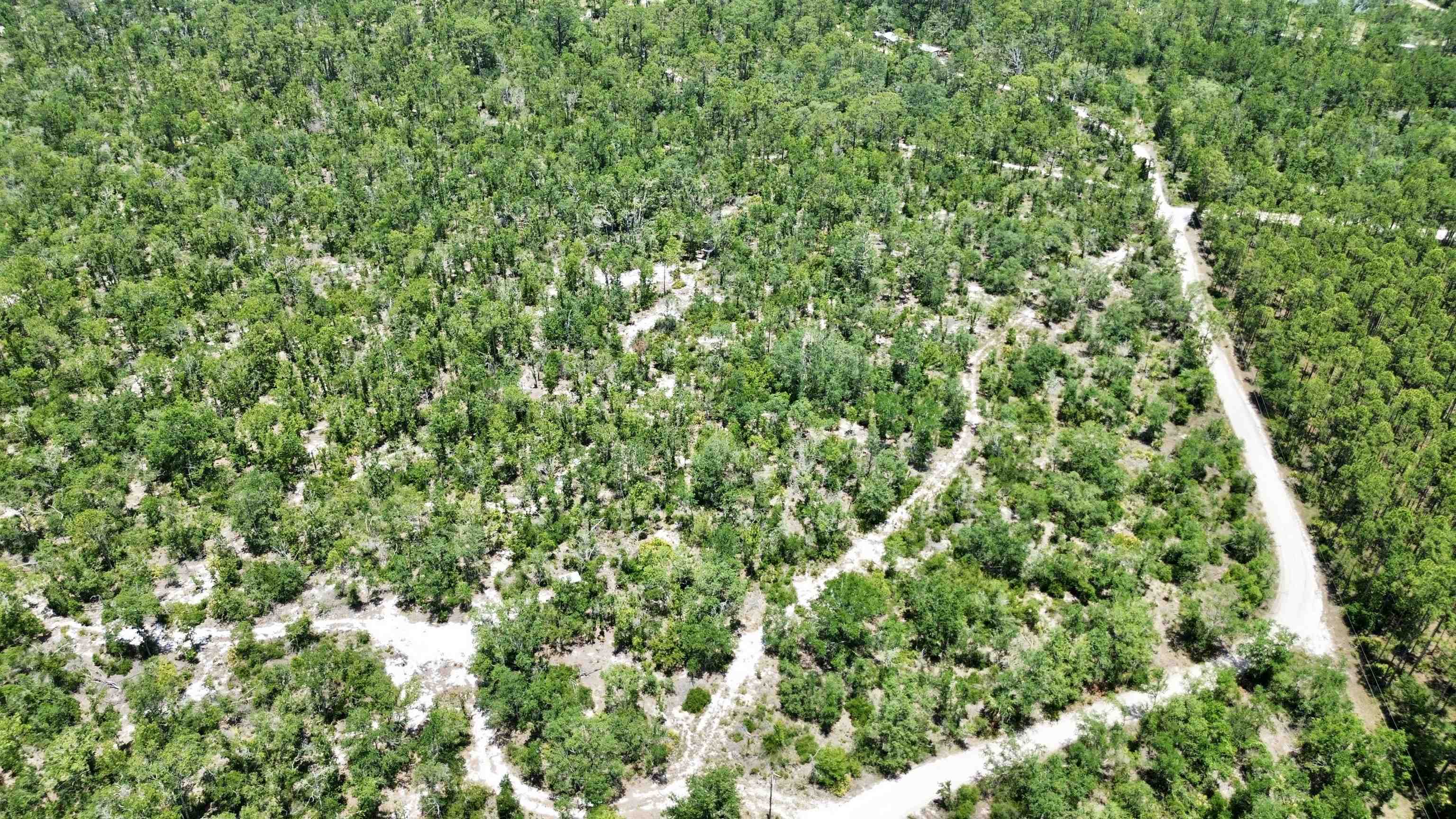 00 Clearwater Creek Lane, Perry, Florida image 19