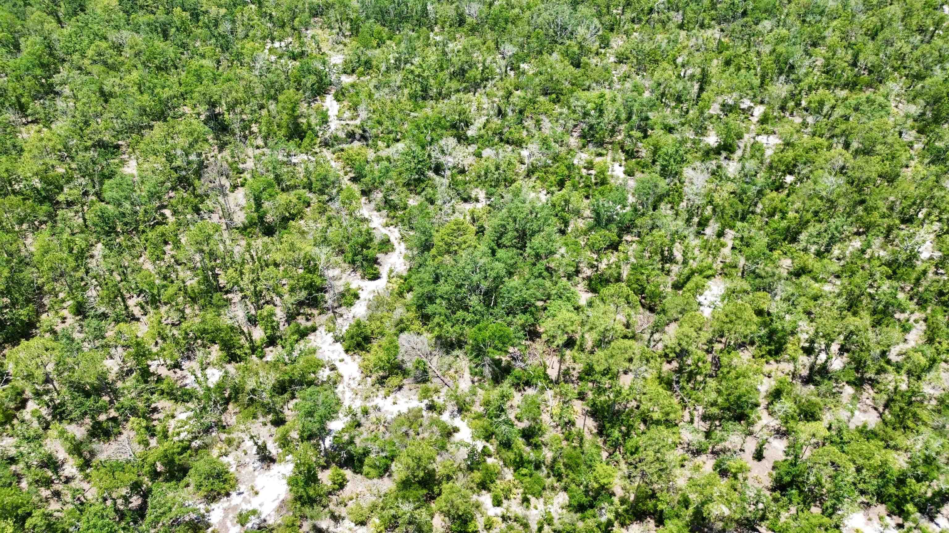 00 Clearwater Creek Lane, Perry, Florida image 22